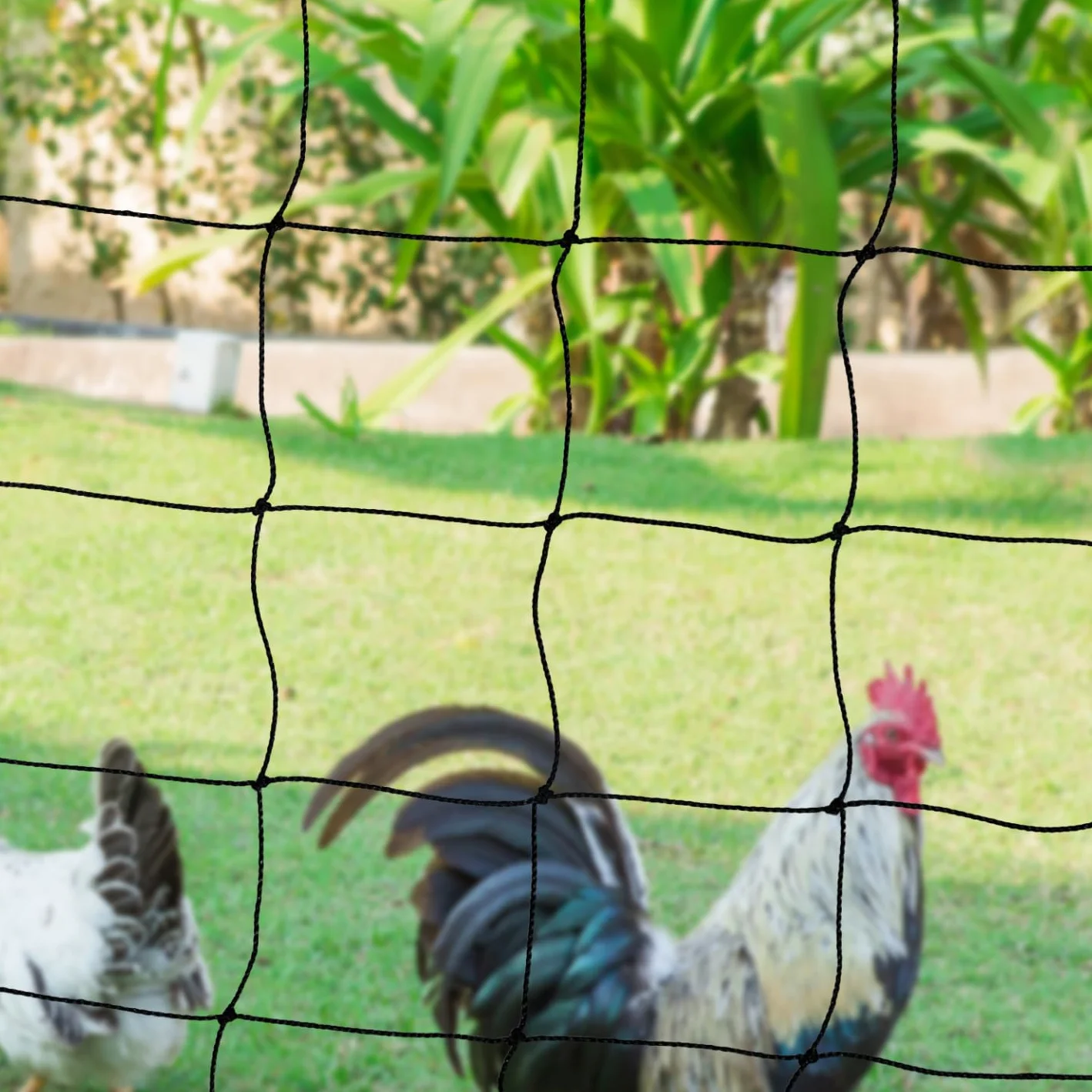 IDMarket – Kit de valla de red de gallinas 50 m con puerta 15 estacas doble punta