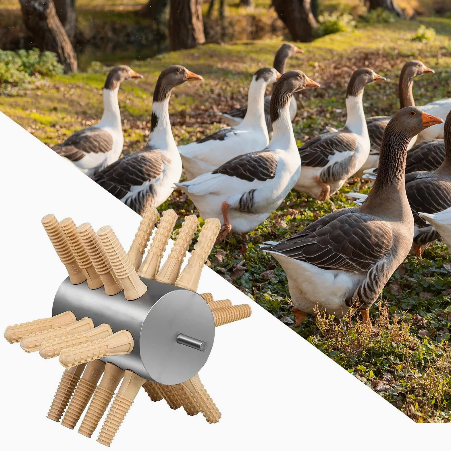 Desplumadora de Pollos Portátil Semiautomática para Aves de Corral, Ahorra Mano de Obra para Codornices, Gallinas de Guinea, Palomas Y Aves de Corral, 24 Dedos Grandes