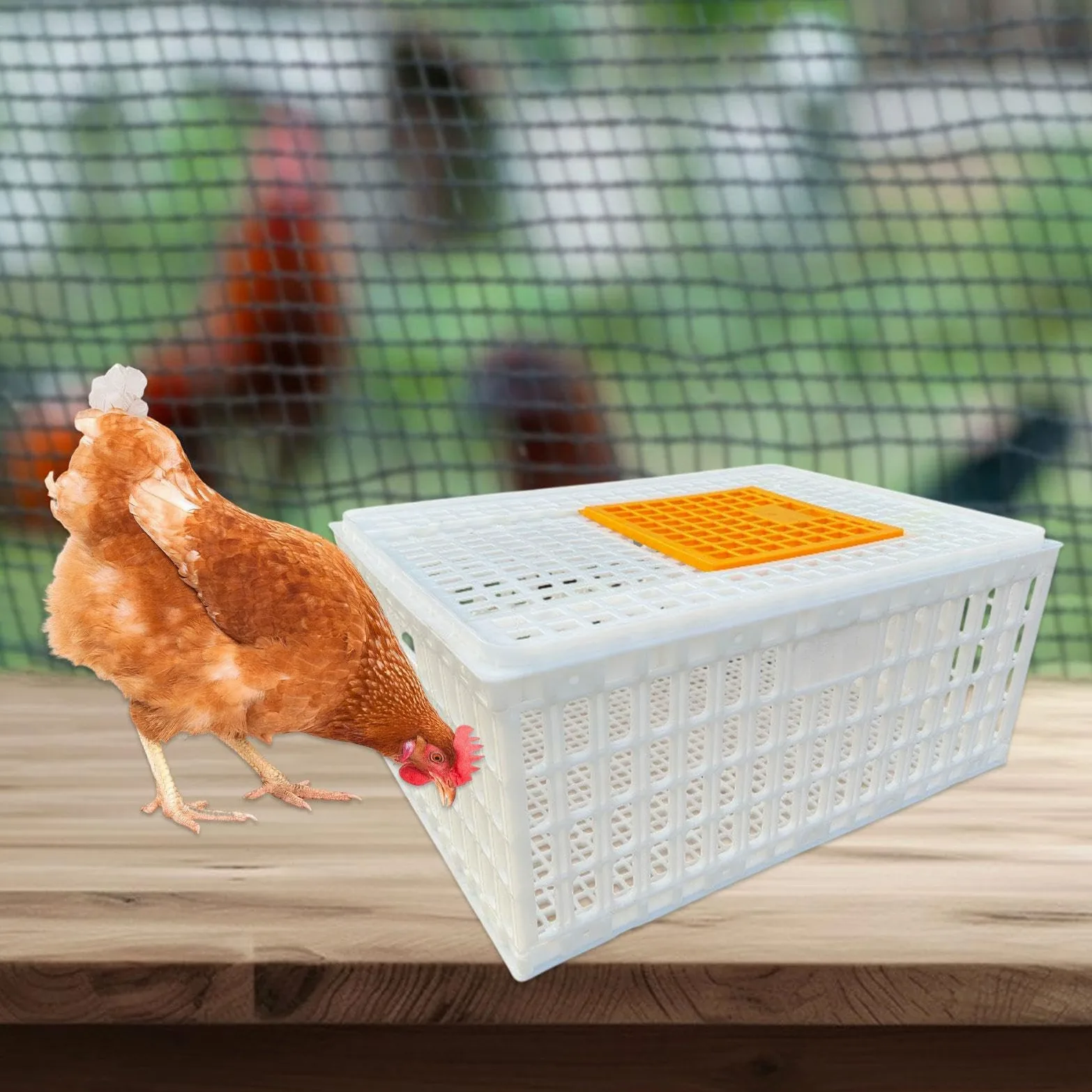 Jaula Transportadora para Aves de Corral, Jaula Transportadora para Pollos Adultos, Gansos Y Otras Aves, Blanco Altura 33cm