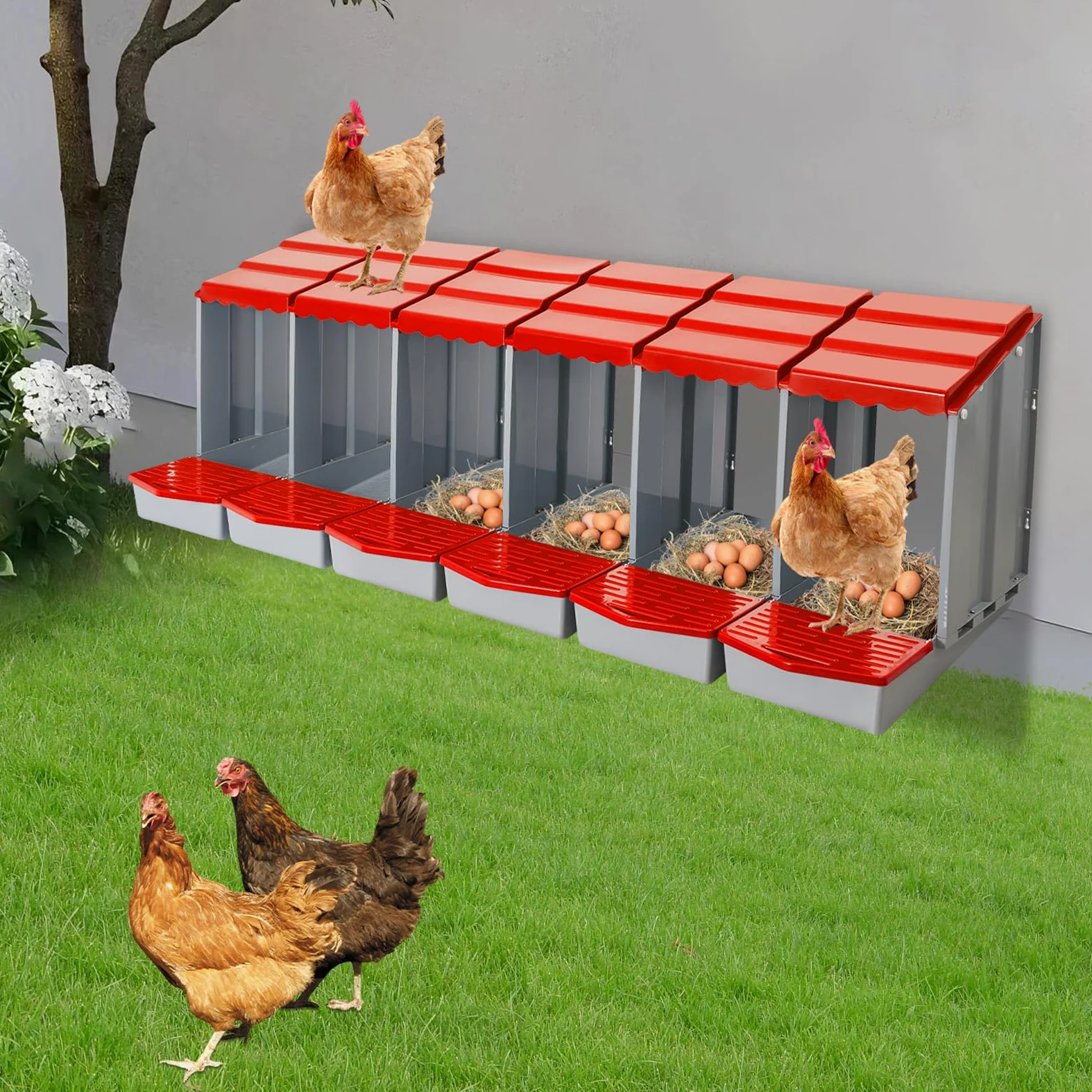 Nido de pollo con 6 cámaras, nido de plástico para montaje en pared, nido de aves de corral para huevos puestos, fácil limpieza (rojo)