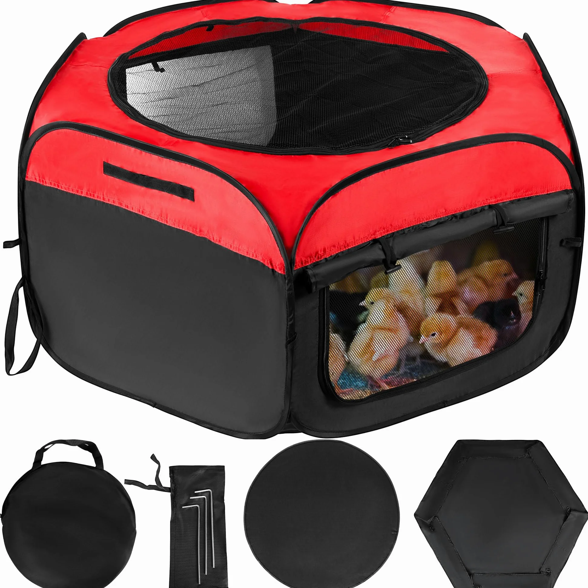 Caja de incubadora para pollitos, kit de iniciación de incubadora de pollos