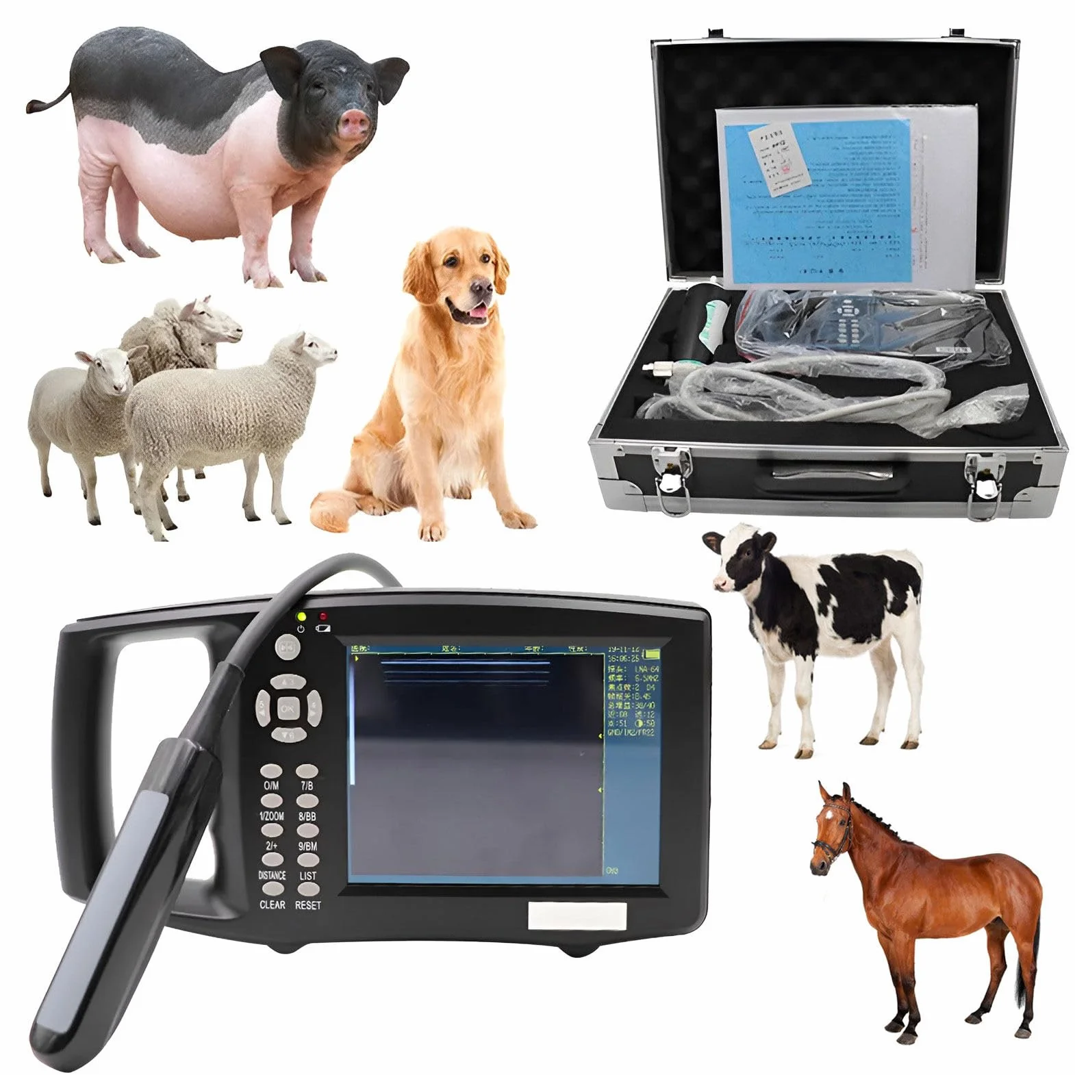 Ultrasonido veterinario portátil B-Ultrasonido con pantalla LED de 5,6 pulgadas y 16 pseudocolores para uso en gestantes, bueyes, caballos, cerdos, ovejas, perros y gatos.,M3