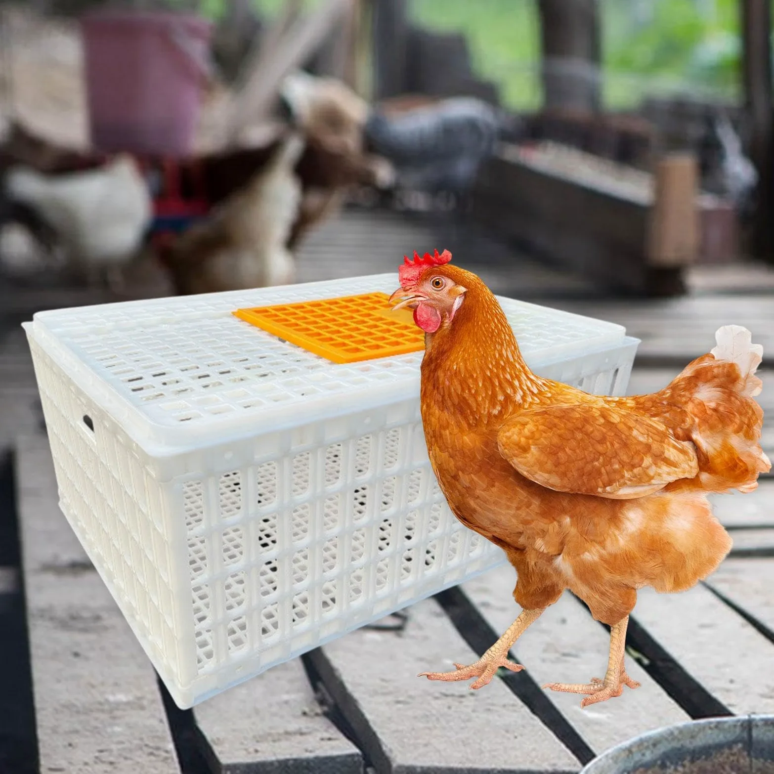 Jaula Transportadora para Aves de Corral, Jaula Transportadora para Pollos Adultos, Gansos Y Otras Aves, Blanco Altura 33cm