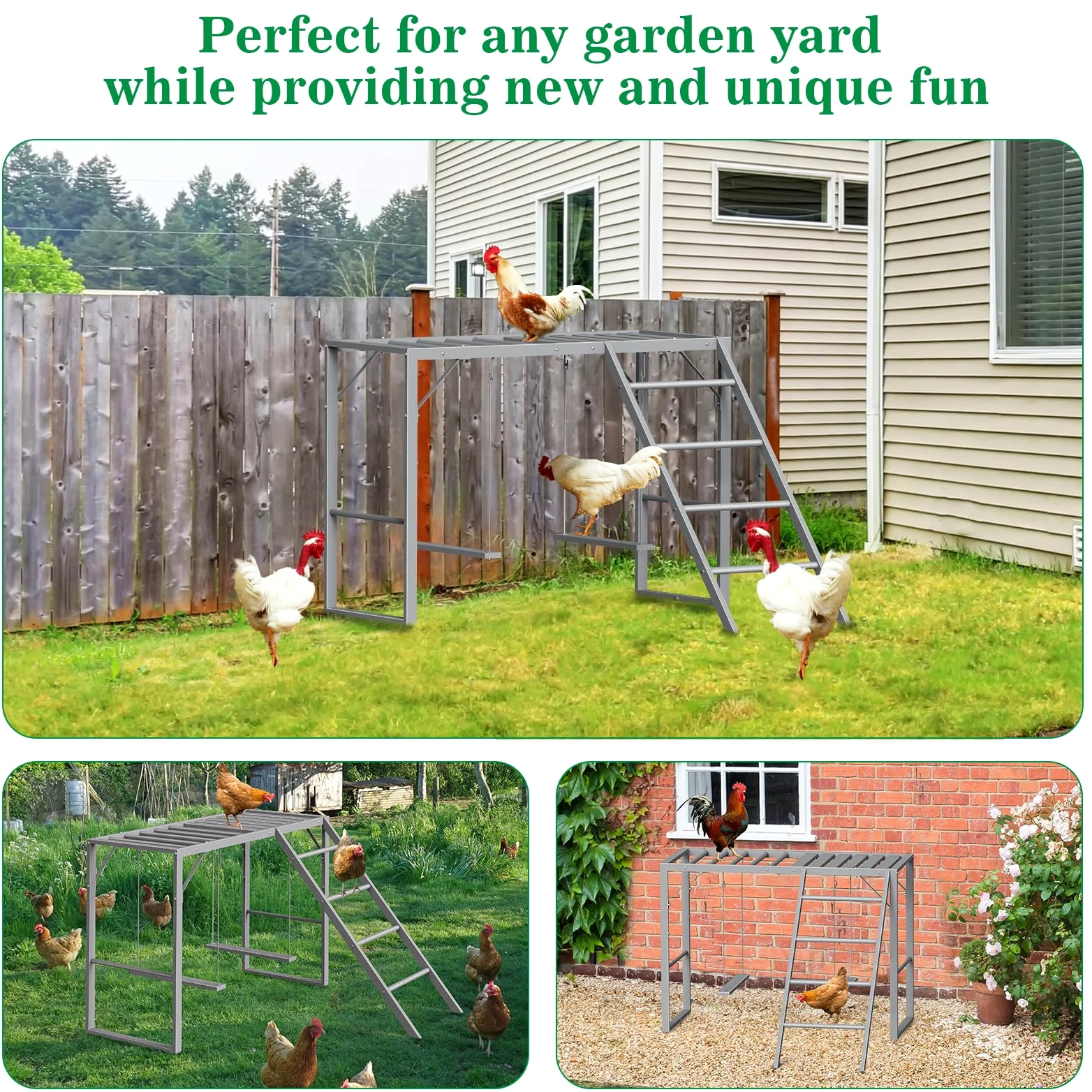 CADUKE Percha de pollo con juegos de columpios para 5-8 pájaros, juguetes de pollo, barras de pollo para accesorios de gallinero, escalera de pollo para la salud y la felicidad de las mascotas, gris