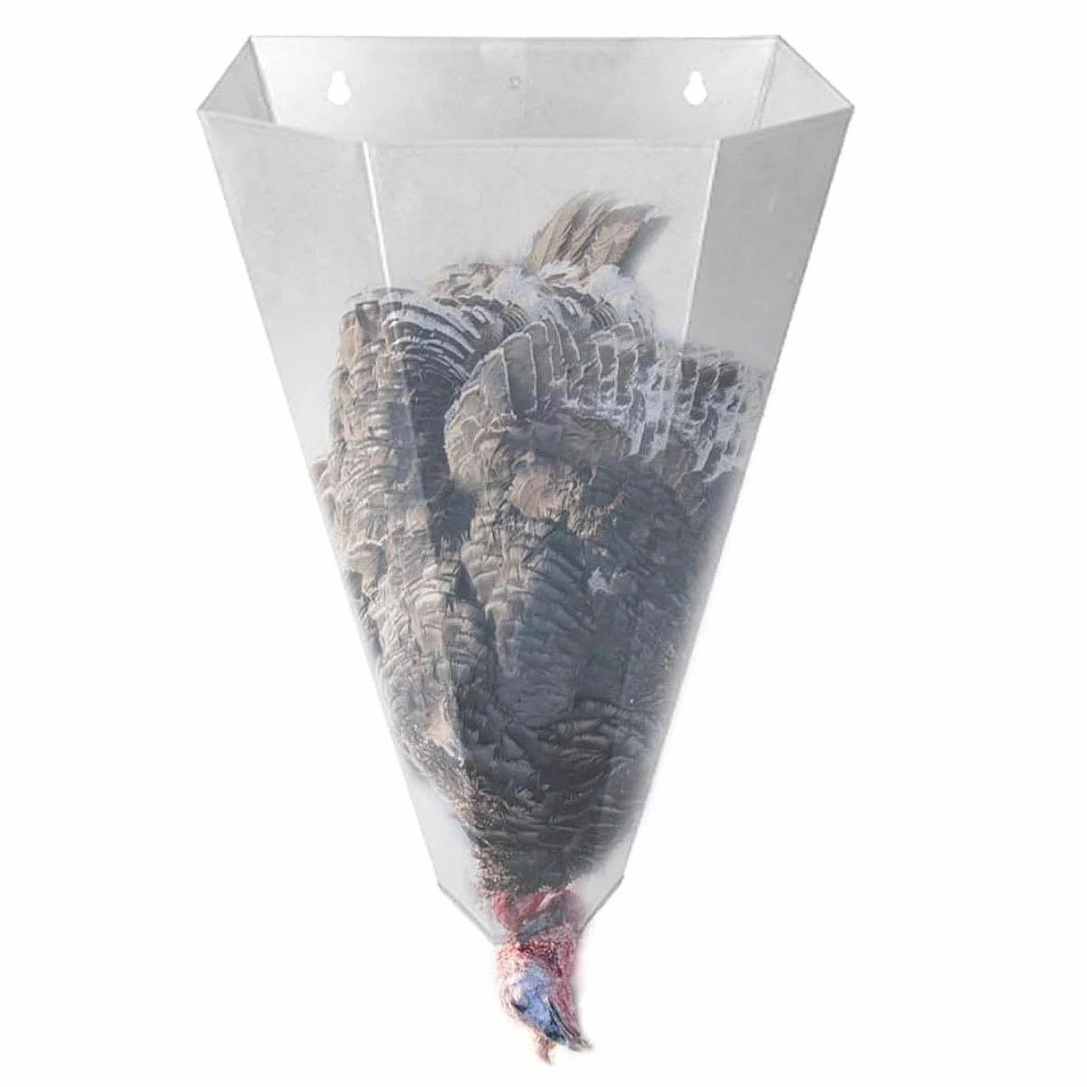 Cono para Aves de Corral, Estable, Versátil, para Gansos,
