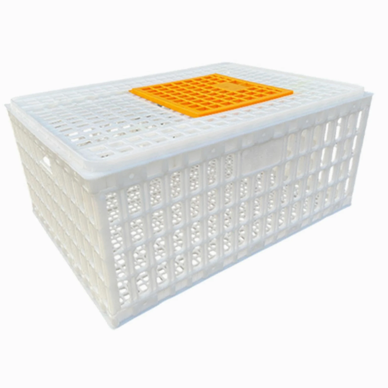 Jaula Transportadora para Aves de Corral, Jaula Transportadora para Pollos Adultos, Gansos Y Otras Aves, Blanco Altura 33cm