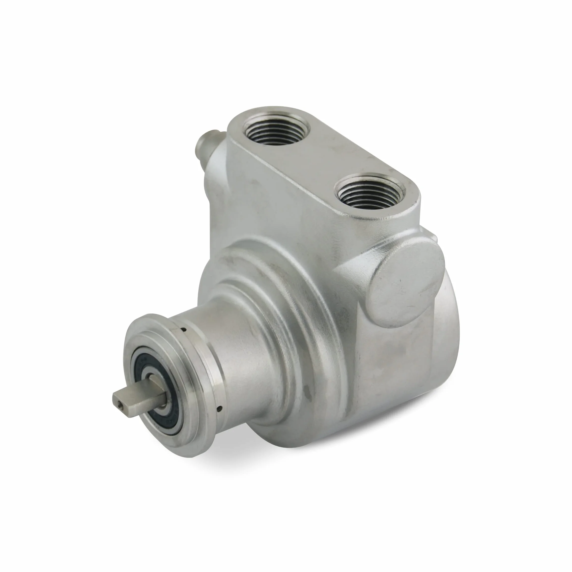 Bomba rotativa fluidotech 1000 l/h de acero inoxidable