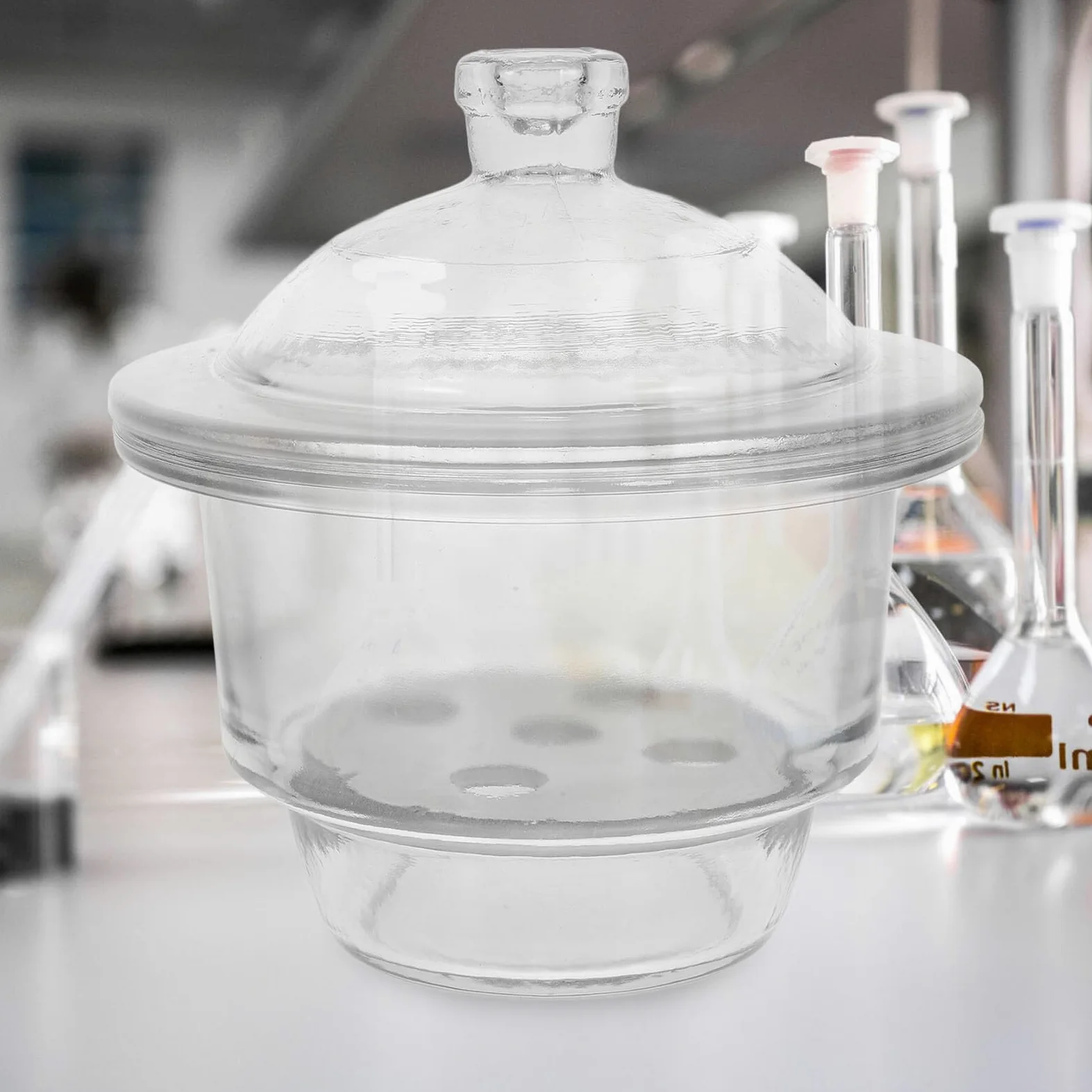 Mipcase 1 Botella Desecadora de Laboratorio Desecador de Vidrio para Laboratorio Superficie Lisa y Diseño Práctico para Uso en Escuelas y Científicos