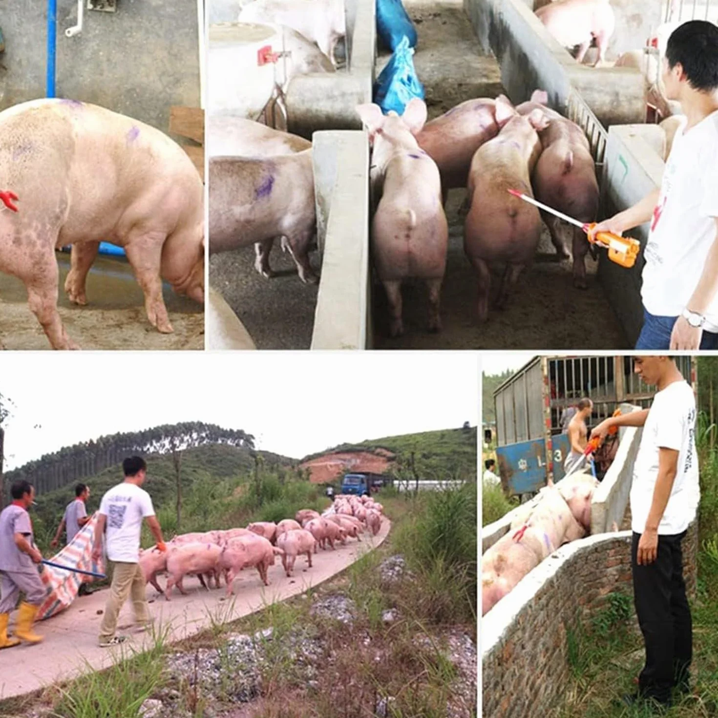 Palo Eléctrico para Conducir Cerdos, Palo De Prod para Ganado Seguridad Animal Electric Shock Prod Recargable Arreador Electrico para Ganado para Perros Vaca Cerdo Cabras Eléctrico