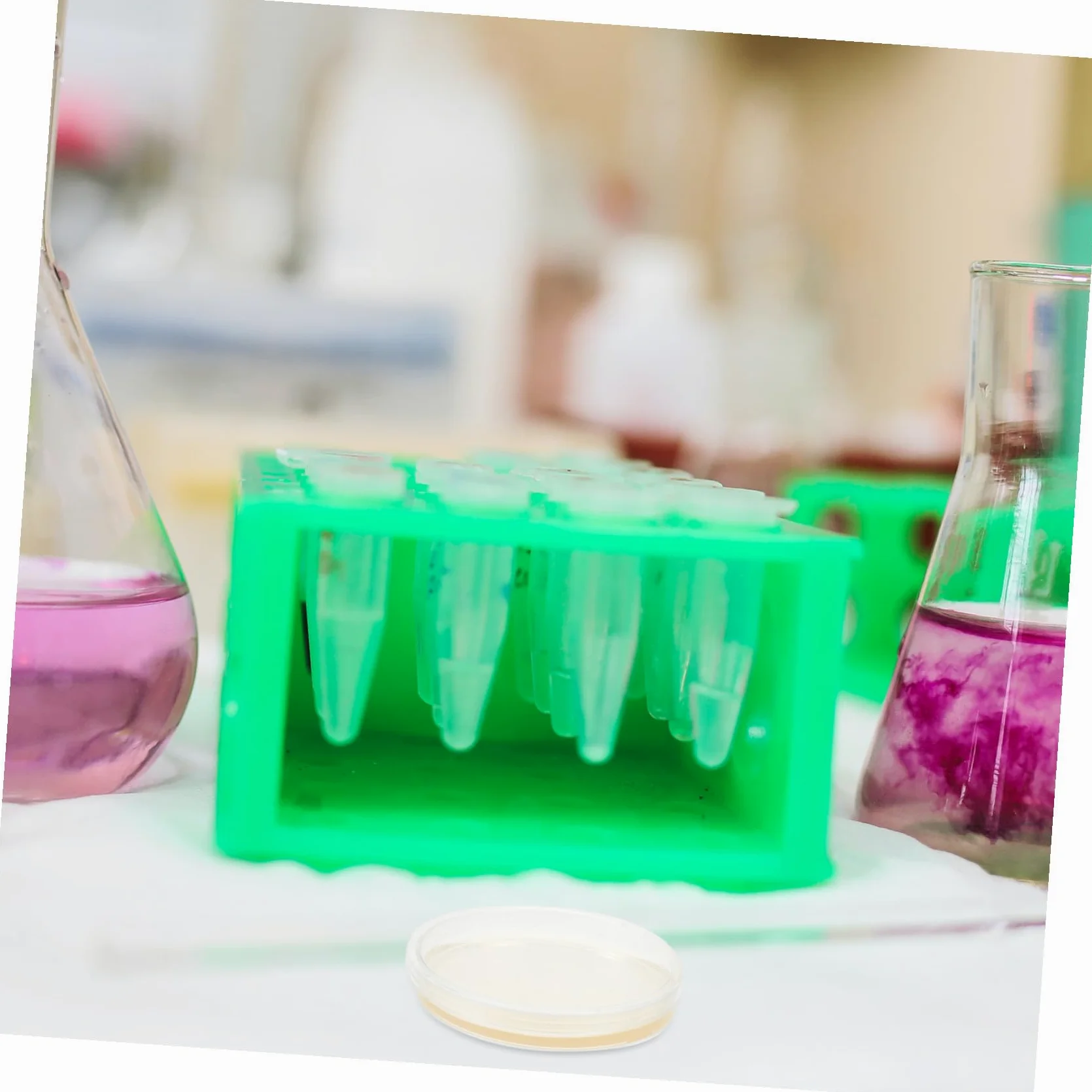 Placas de Petri de Agar Pre-vertido 10piezas 9cm Lb para Aislamiento | Suministros para Experimentos, Placas de Agar para Laboratorio, Decoracion Colegio