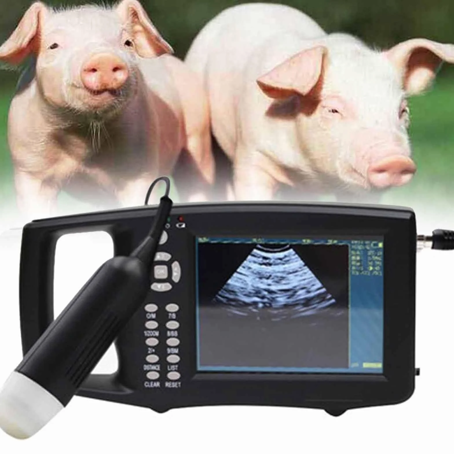 Ecógrafo Para Animales,Escáner Veterinario Para Gestación En Cerdas Y Ovejas,Detector Ultrasonido Veterinario Mano,Pantalla LED 5.6" Con Sonda 3.5 Mhz,Para Gestación En Cerdas Y Ovejas