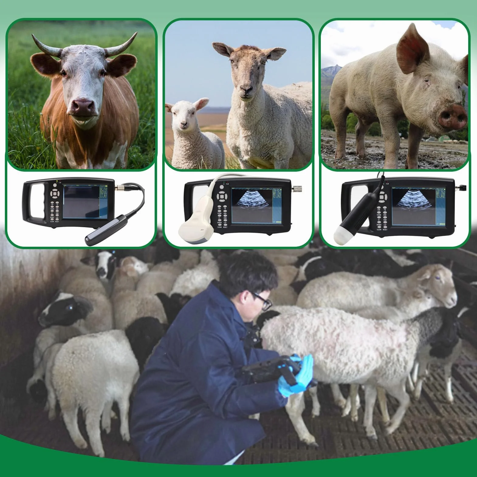 EcóGrafo Veterinario, EcóGrafo Veterinario PortáTil, con Sonda De 3,5/6,5 MHz para Cerdos, Ovejas, Cabras Y Perros C