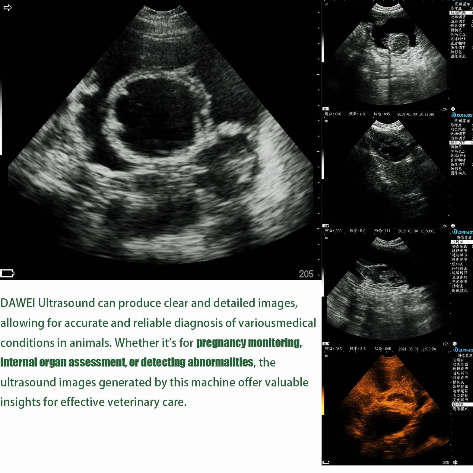 Máquina de ultrasonido veterinaria con sonda rectal y convexa de doble uso mejorada de 3,5 MHz para ganado y caballos, escáner veterinario portátil de mano para embarazo y chequeo de