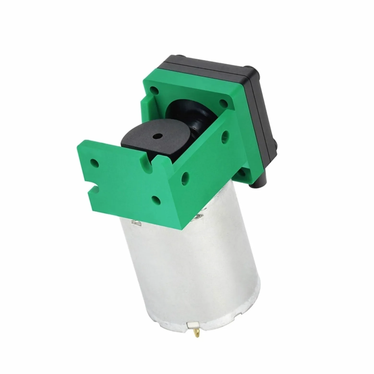 DEBLAN Micro Bomba de vacío con Cepillo de 6v, Bomba de Aire pequeña de muestreo de 12v, Bomba de presión Negativa de 24v(12V)