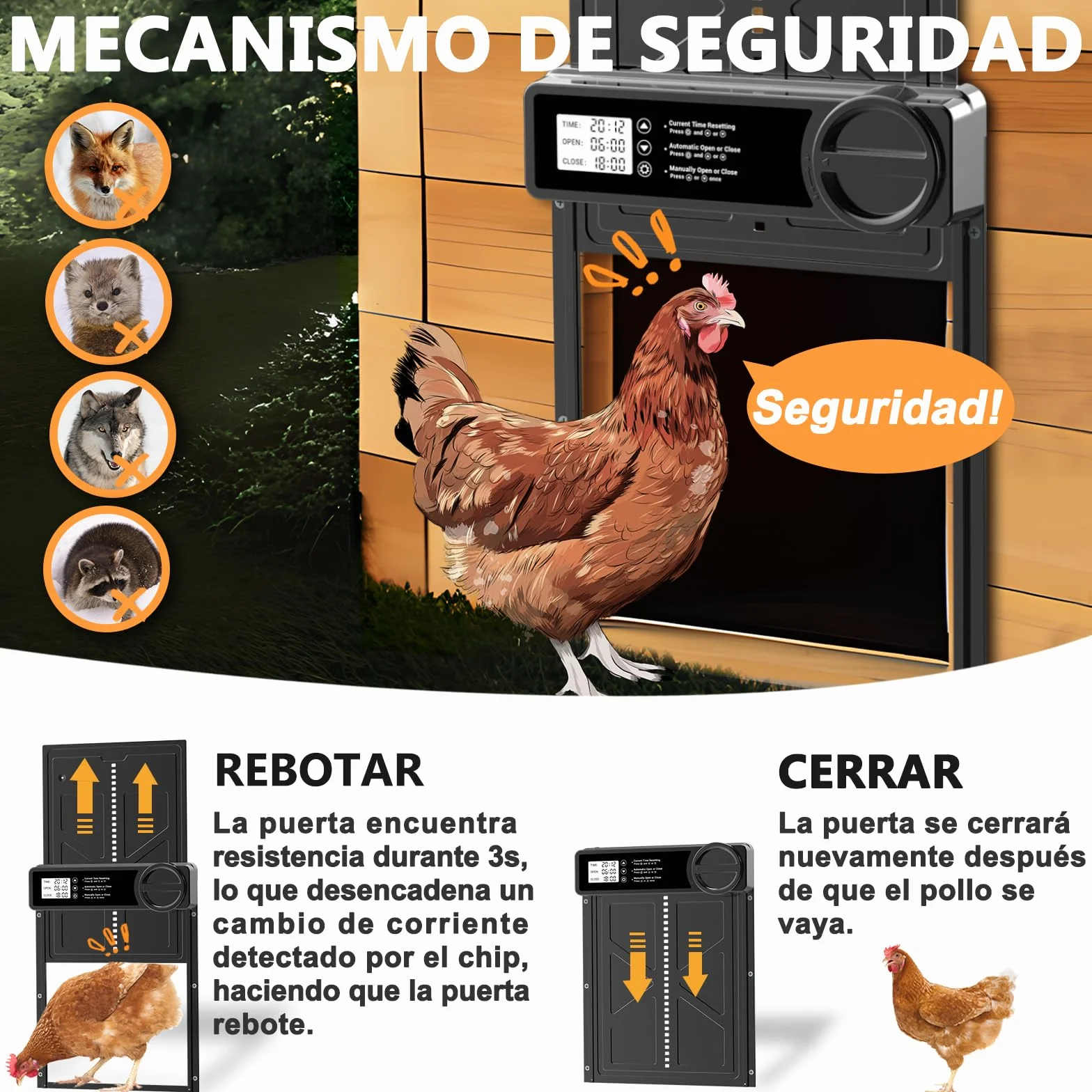 INNOLAND Puerta Gallinero Automática Grande con Pantalla LCD, Aluminio, Anti-atrapamiento, Alimentada por Batería