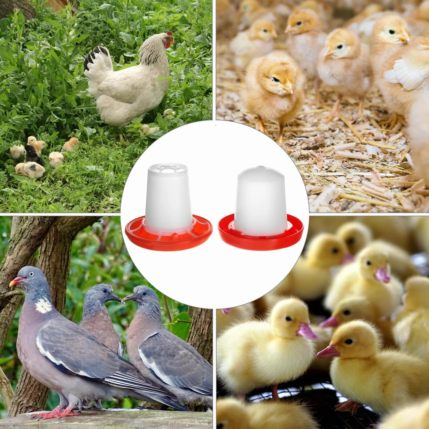 QWORK Juego de Comedero y Bebedero 160g 160ml para Pájaros Pequeños