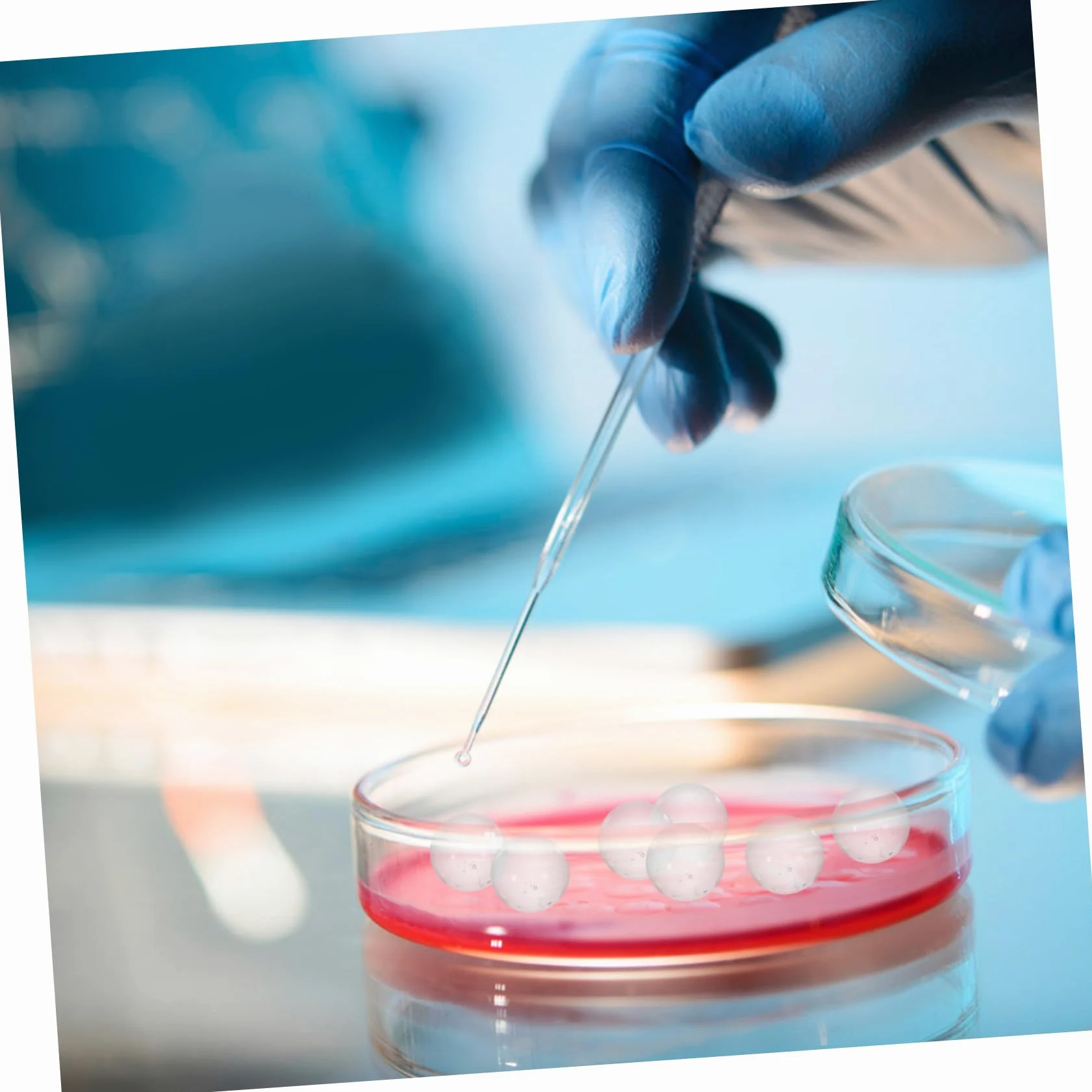 Ciieeo 2000 Piezas de Bolas de Vidrio Sólido Alta Dureza y Superficie Lisa, Esferas Transparentes de 2 Mm para Laboratorio y Experimentos Científicos