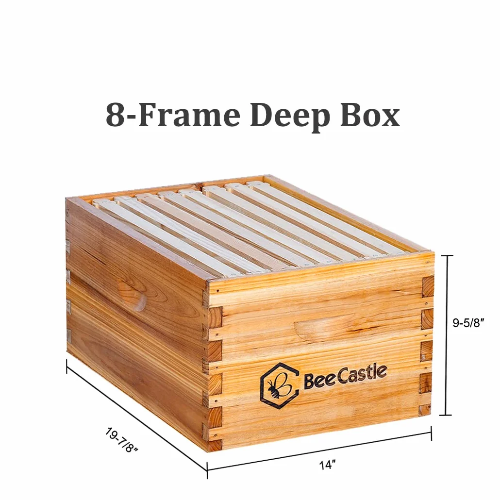 BeeCastle Colmena de abeja Langstroth de 8 marcos recubierta con cera de abejas, incluye marcos de colmena y bases enceradas (1 caja profunda y 1 caja mediana)