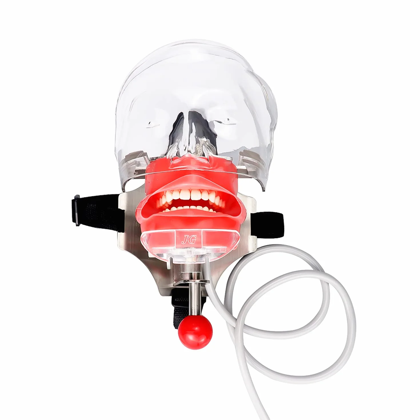 Modelo manual dental de la cabeza del fantasma del simulador del maniquí para el reposacabezas dental de la silla