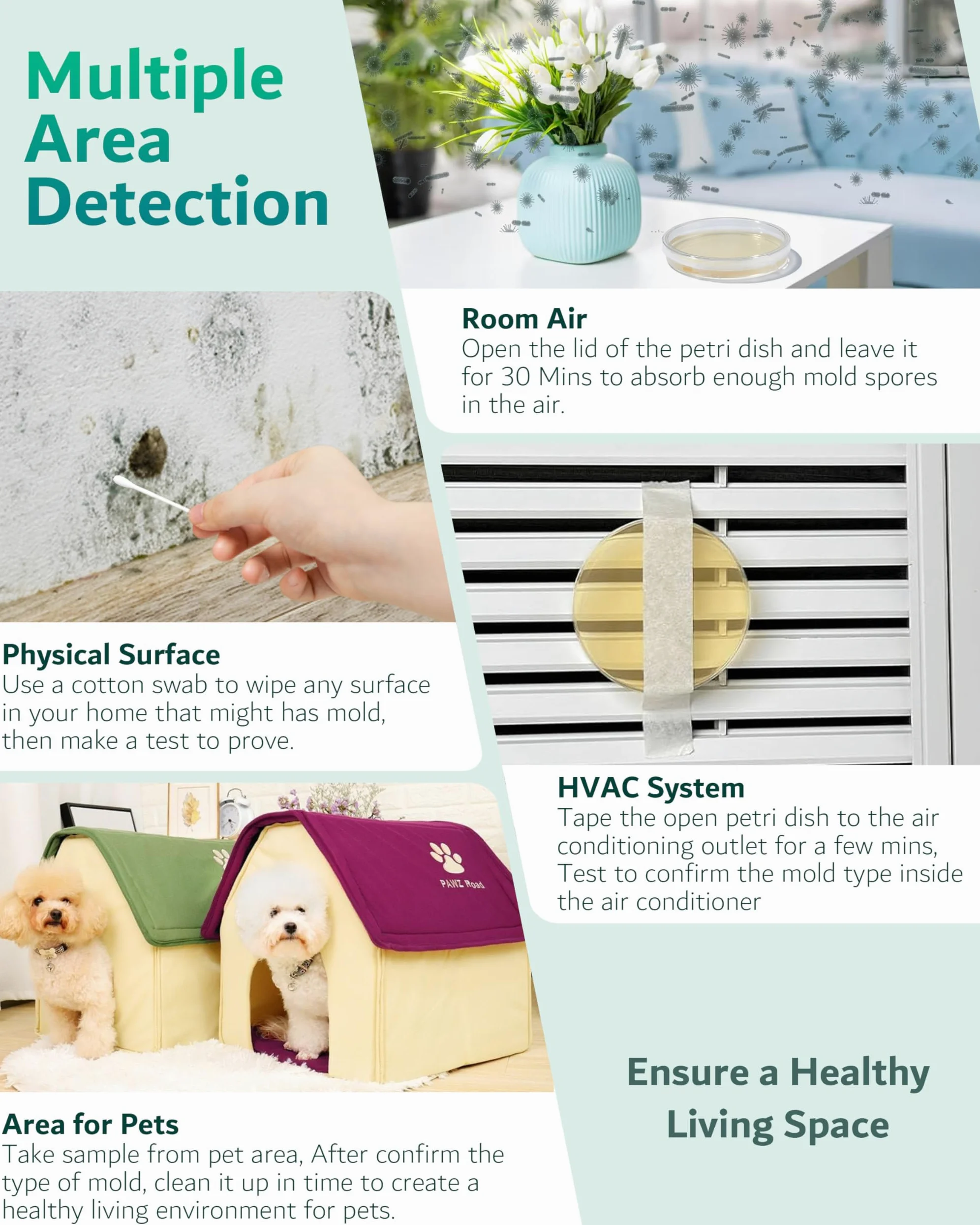 Kit de prueba de moho con 4 pruebas individuales, kit de prueba de moho para el hogar, incluye guía detallada de identificación de moldes, detector de moho rápido y fiable para el hogar
