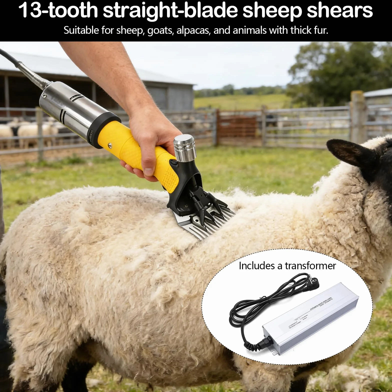 Profesional Esquiladora Ovejas, 850W 2800RPM Cuchilla Recta 13 Dientes Protección Sobrecalentamiento Cable 5M Para Ovejas Alpacas Cabras Eléctrica Potente De Alto Rendimiento