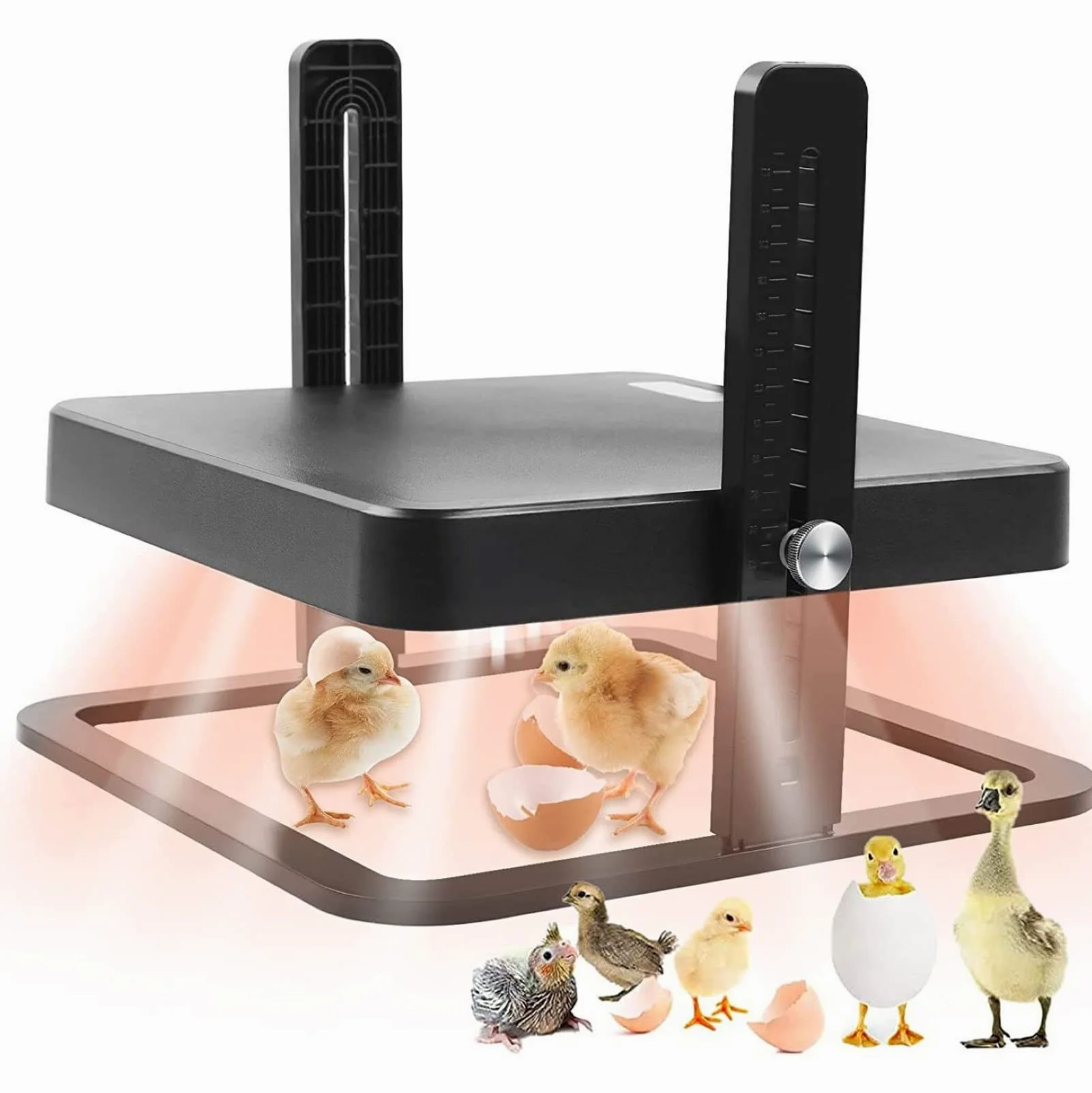 Criadero Pollitos Altura Ajustable,Placa Calefactora Mejorada para Mascotas Y Aves Corral,con Capacidad para 15 Pollitos para Incubar Patos,Pollitos Y Pájaros