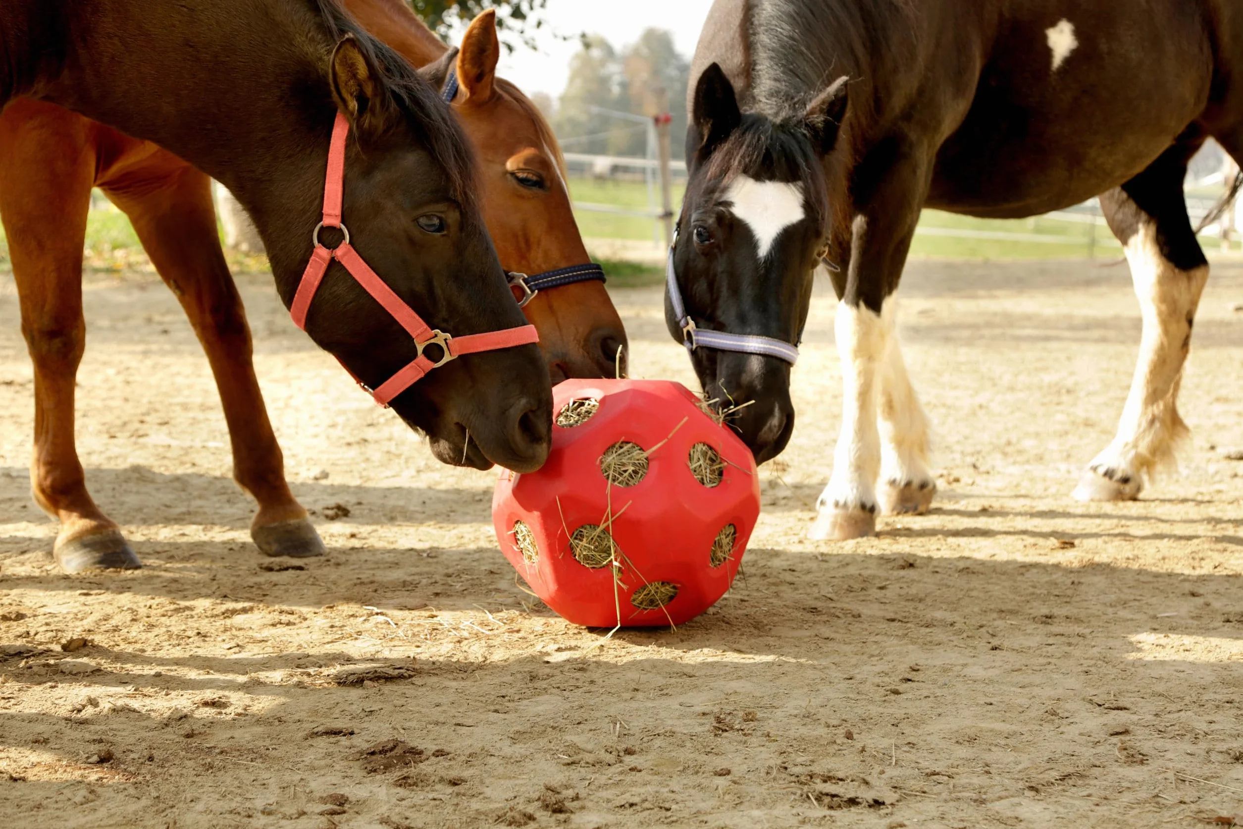 Kerbl Pelota de alimentación roja Ø40 cm rellenable para caballos y terneros