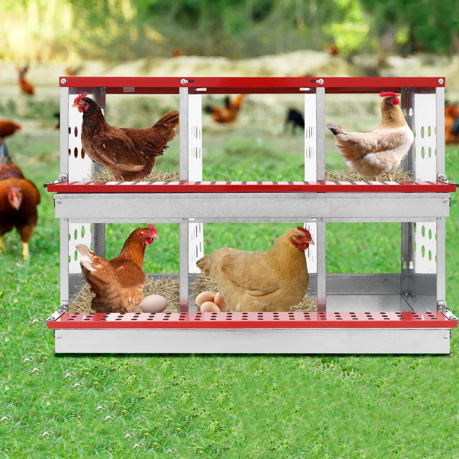 6 nidos para pollos, chapa galvanizada, 89 x 42 x 18 cm, con orificios de ventilación, para uso doméstico, granjas y grandes criaderos
