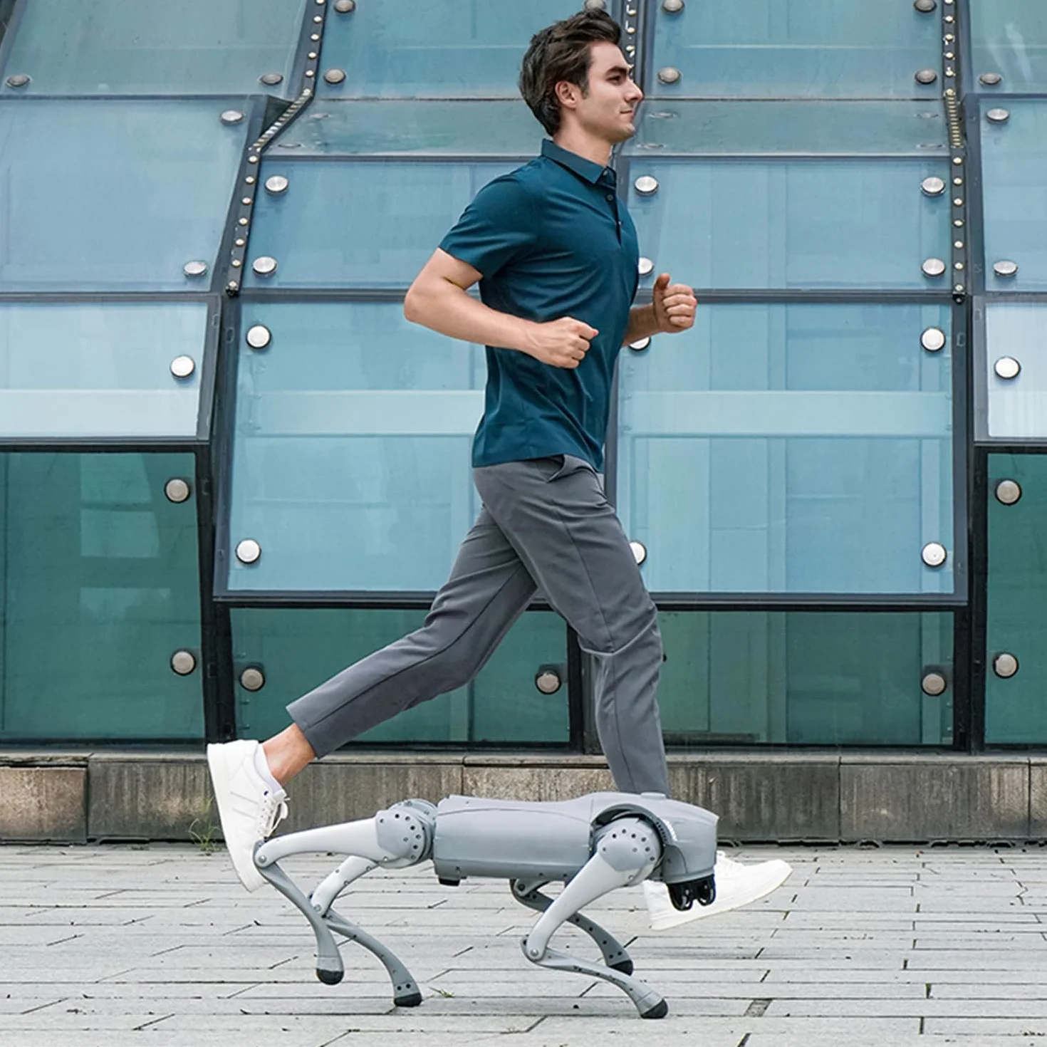 Unitree Go2 Robot Perro Cuadrúpedo Robótico con IA Integrada (Go2 Pro)