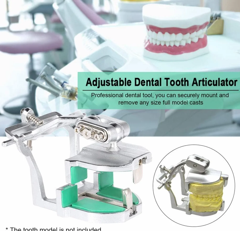 Articulador Dental Universal Mecánico Triple Ajustable Tipo 2 Mandíbulas z Śrubokrętem Narzędzie Dentystyczne