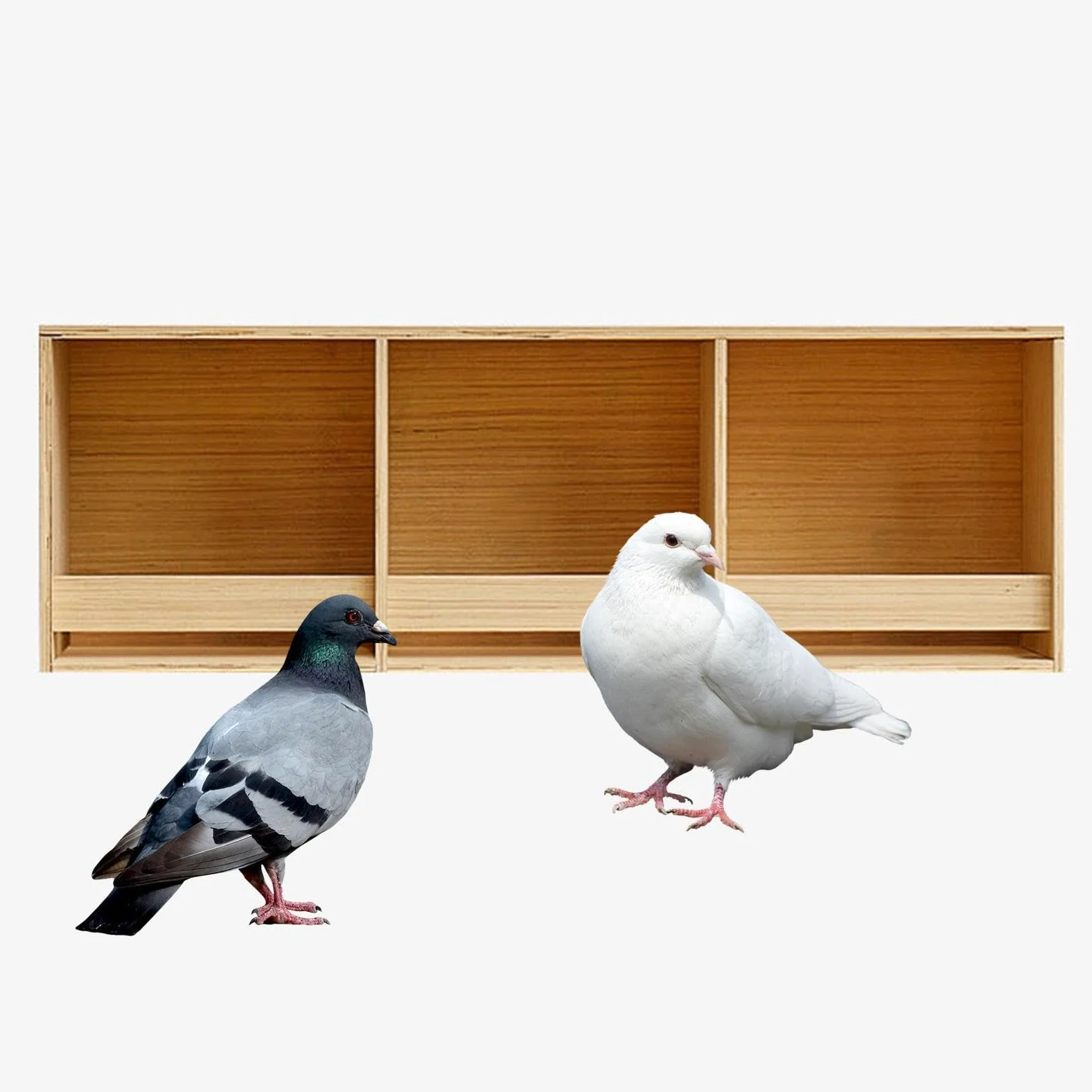Caja de Cría de Madera para Periquitos, Comedero para Pájaros, Nido de Madera para Palomas, Pinzones, Canarios Y Periquitos, 3 Cuadrículas de 90 Cm X 30 Cm