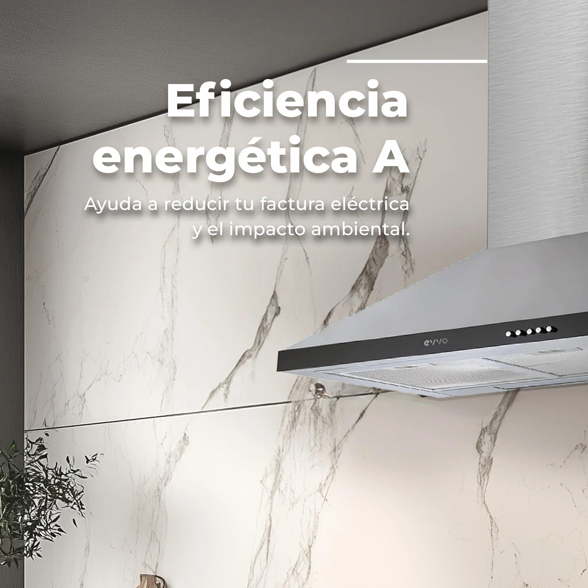 EVVO Campana Extractora 60 cm 650 m³/h 3 Velocidades Inox CE21