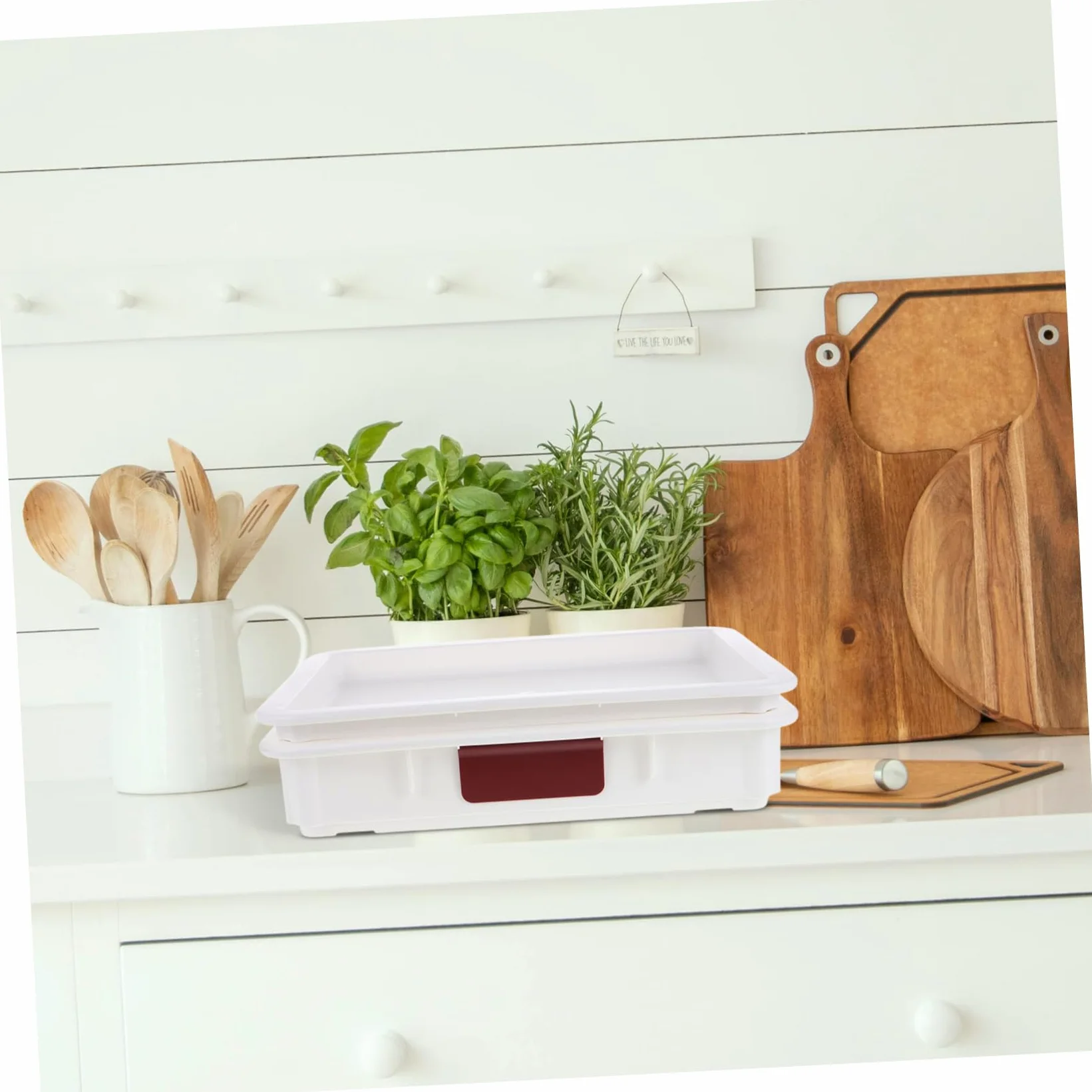 Mikikit Caja De Almacenamiento Soporte Para Masa De Pizza Contenedor De Almacenamiento De Alimentos Bandeja a Prueba De Pizza Encargado Del Tocino Producir El Plastico