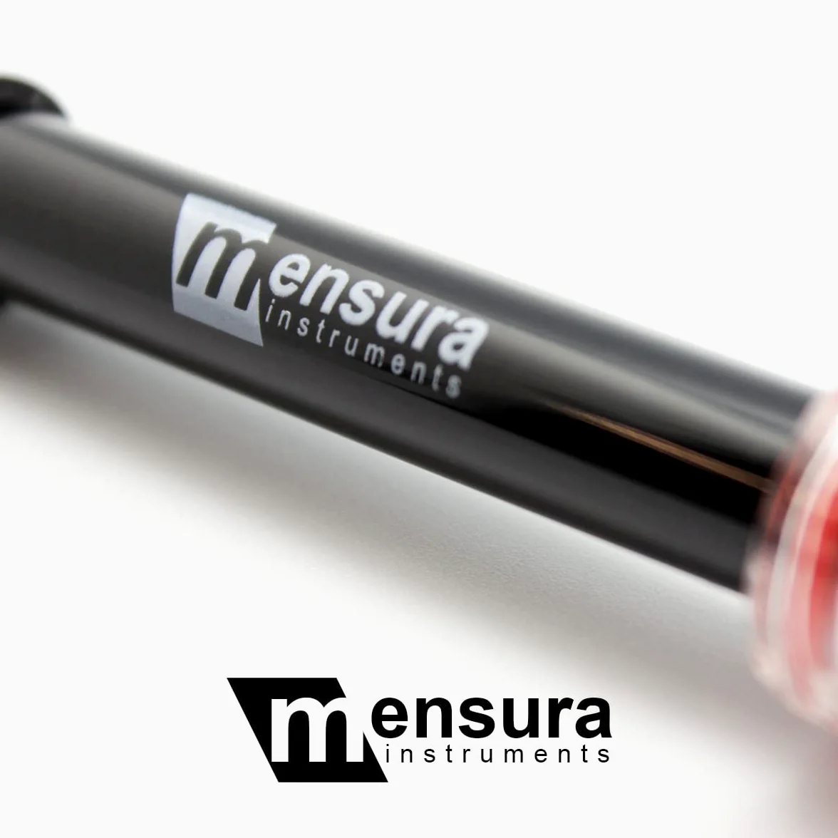 Mensura Electrodo de pH con conector BNC de GRE Pool sistemas de dosificación electrolisis salina o agua dulce