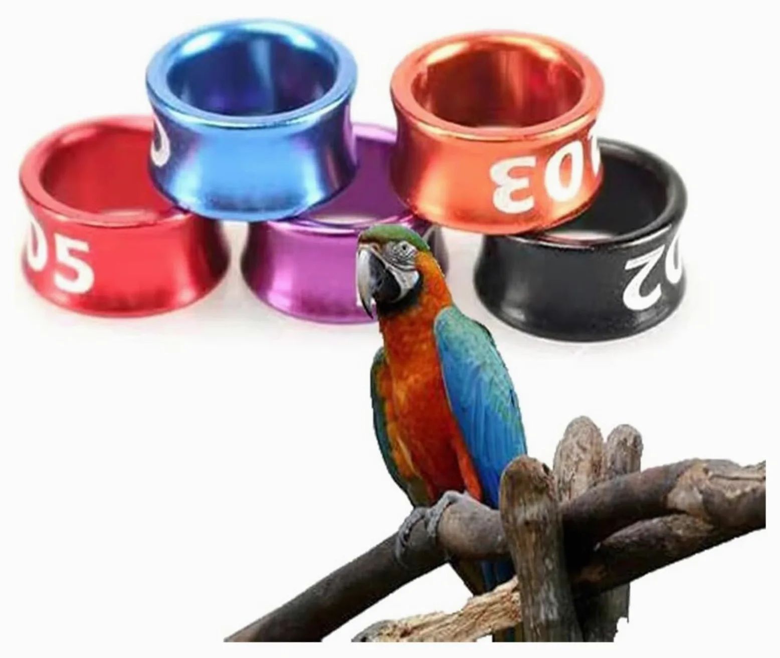 Anillas Abiertas para Aves, Diámetro Multicolor de Aluminio 4mm-8m m los Anillos la Pierna identificación Paloma(Mixed Colors8.0mm,200pc)