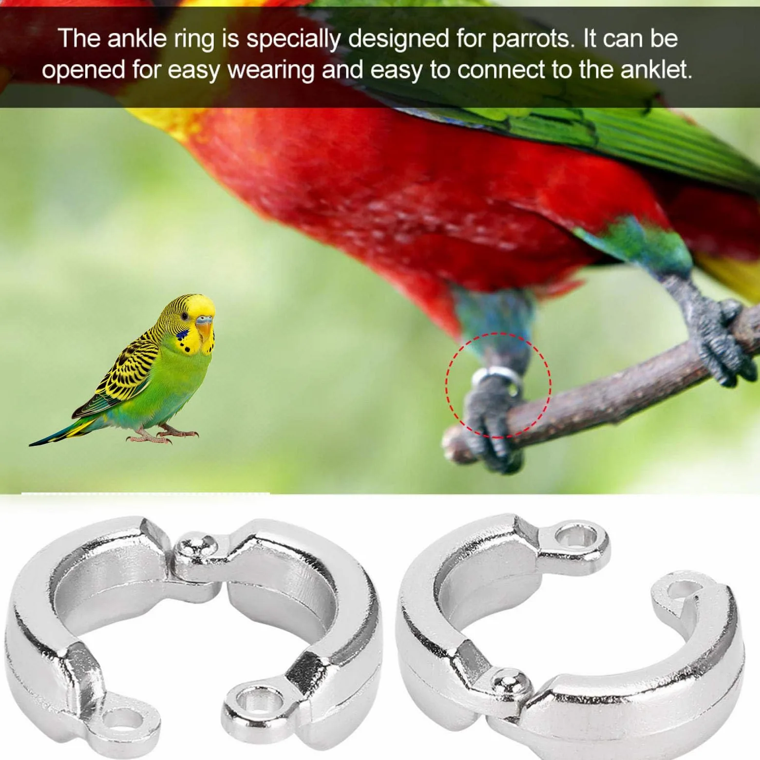 pájaro con las piernas cerradas, Patas de loro for entrenamiento aves, actividad con mosca al aire libre, cadena for pies, tobillo 4-15mm(100 pieces,15mm)