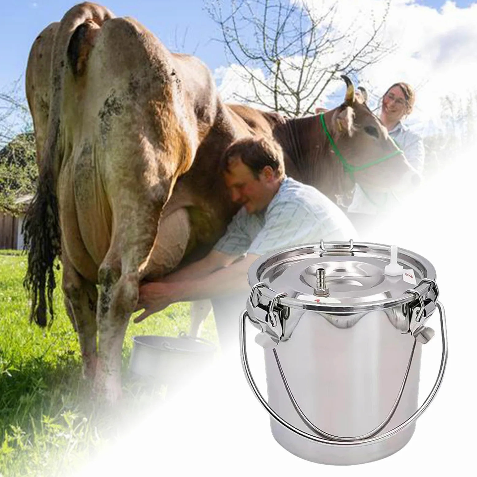 Juego de 2 cubos de ordeñadora para ordeñadora, para vaca, oveja, caballo, 3 L, plateado
