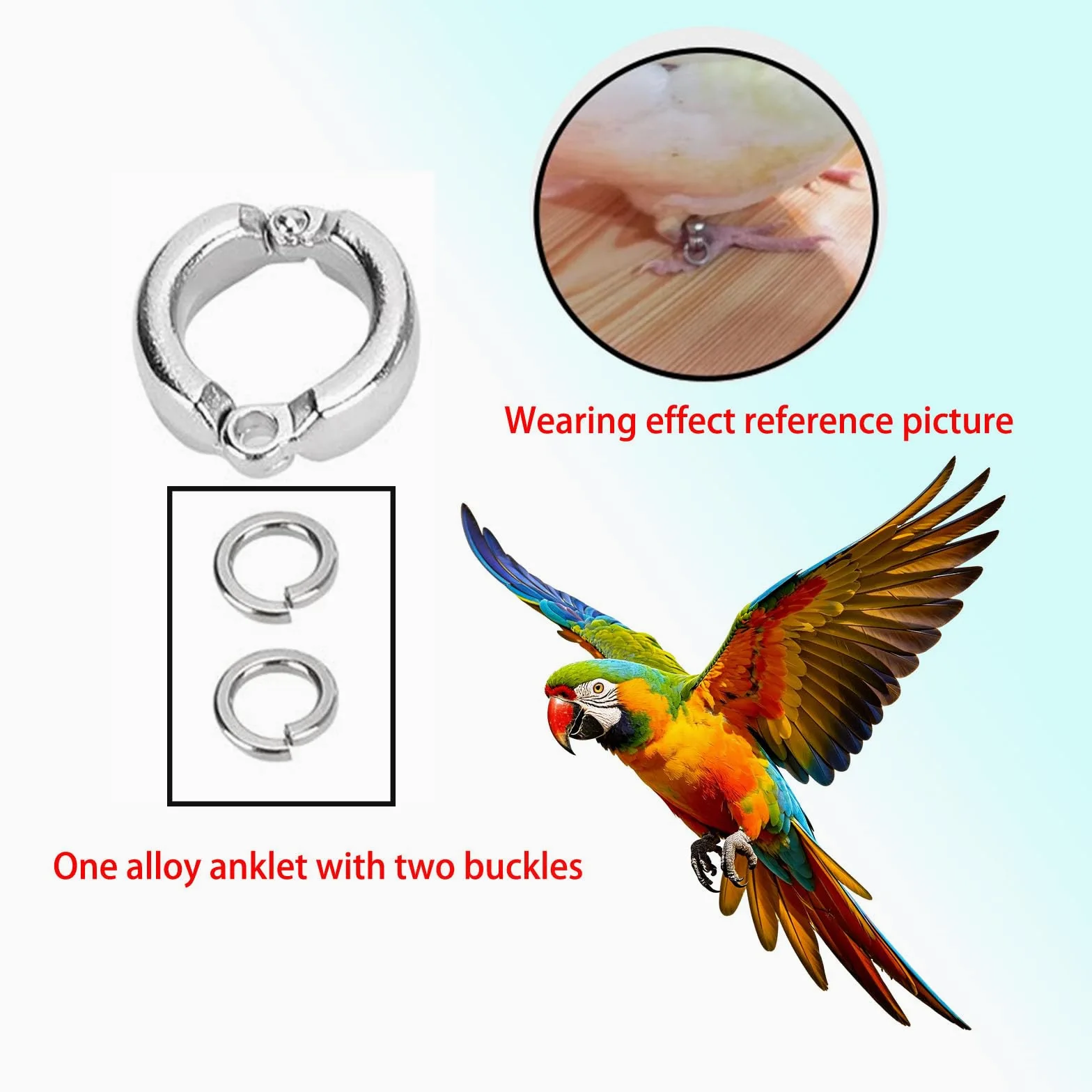 pájaro con las piernas cerradas, Patas de loro for entrenamiento aves, actividad con mosca al aire libre, cadena for pies, tobillo 4-15mm(100 pieces,15mm)