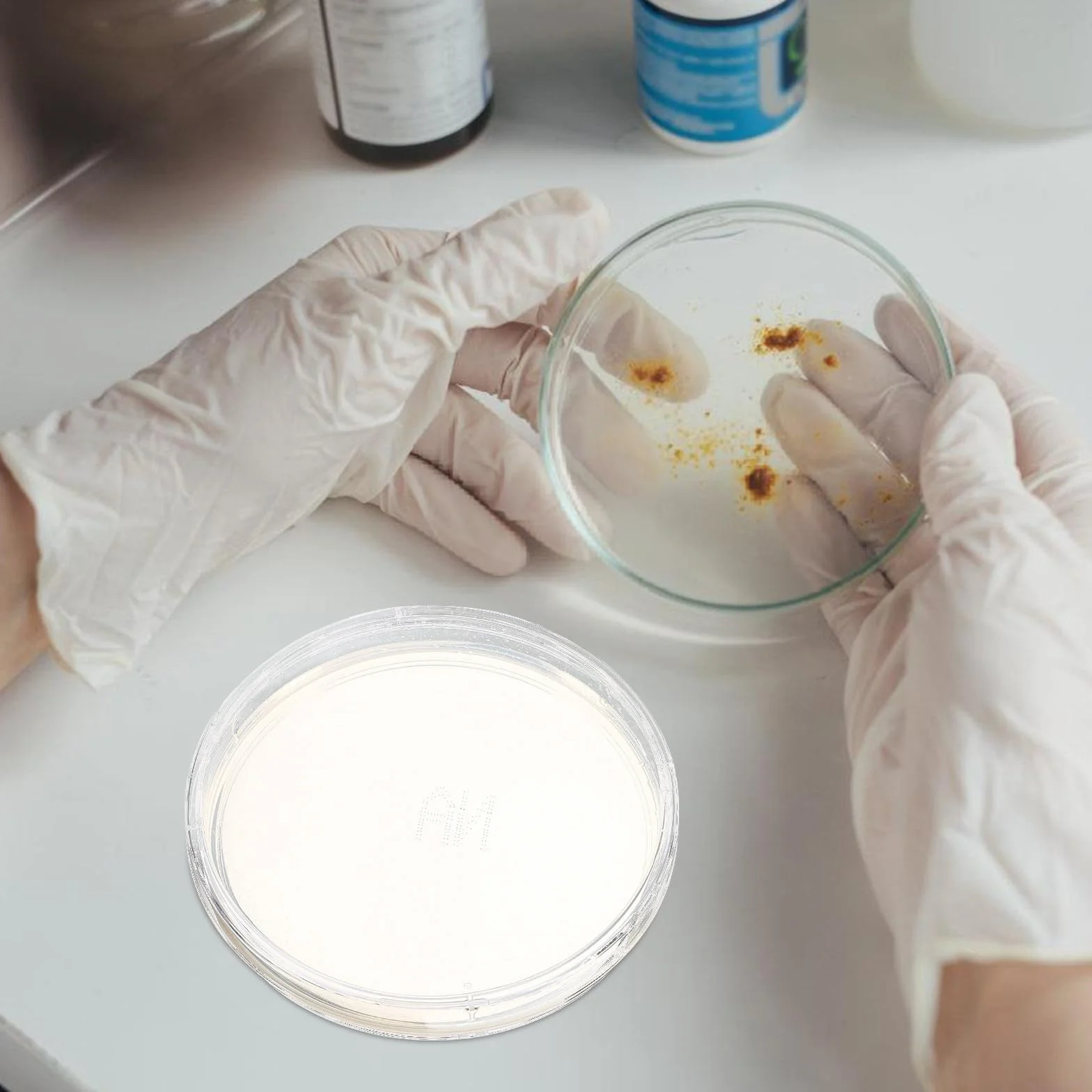 Didiseaon 10 placas de agar preparadas: placas de Petri con agar de 90 mm, kit de cultivo de placas de Petri para experimentos científicos de laboratorio