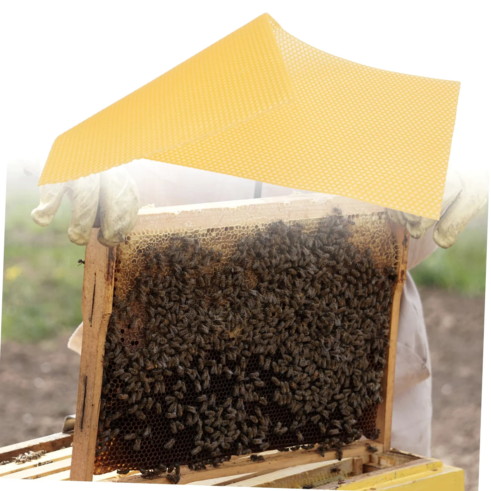 VANZACK 30 Láminas Base de Panal de Abejas de Cera Natural para Apicultura, Alta Producción y Rápida Formación de Colmena, Color Amarillo, Ideales para Manualidades y Fabricación de Velas