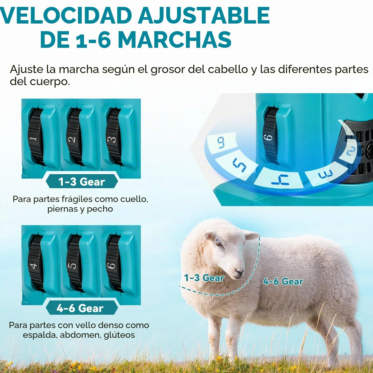 Yofidra Maquina Esquilar Ovejas de 550 W, Esquiladora Inalámbrica con 6 Velocidades, Cuchilla de 13 Dientes, 2 Baterías de 3000 mAh, Esquiladora Profesional para Lana de Ovejas, Cabras y Alpacas