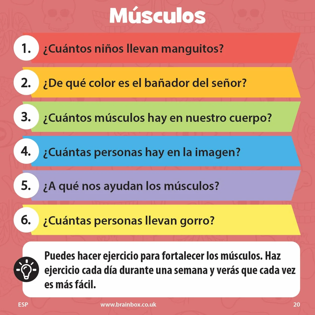 BrainBox Pocket El Cuerpo Juego de Cartas a Partir de 6 Años 1 Jugador 10 Minutos Español