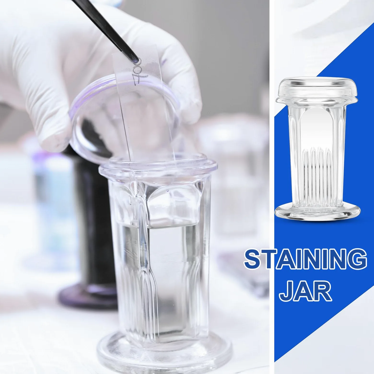 Sieral 6 tarros de tinción con capacidad para 5 diapositivas, 60 ml, tarro de vidrio con tapa para suministros de microscopio de laboratorio