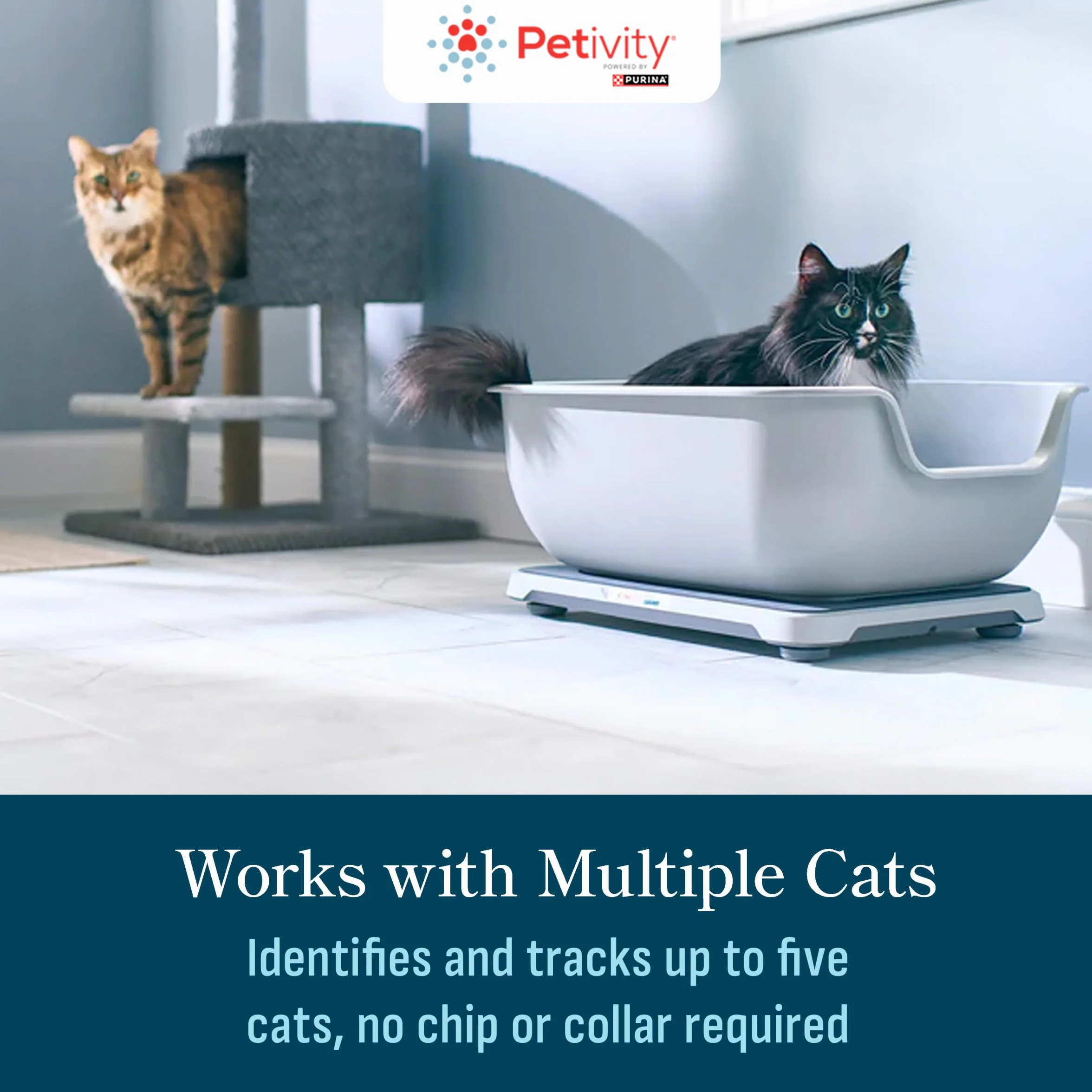 Petivity Smart Litter Box Monitor System - Caja de 5 Libras