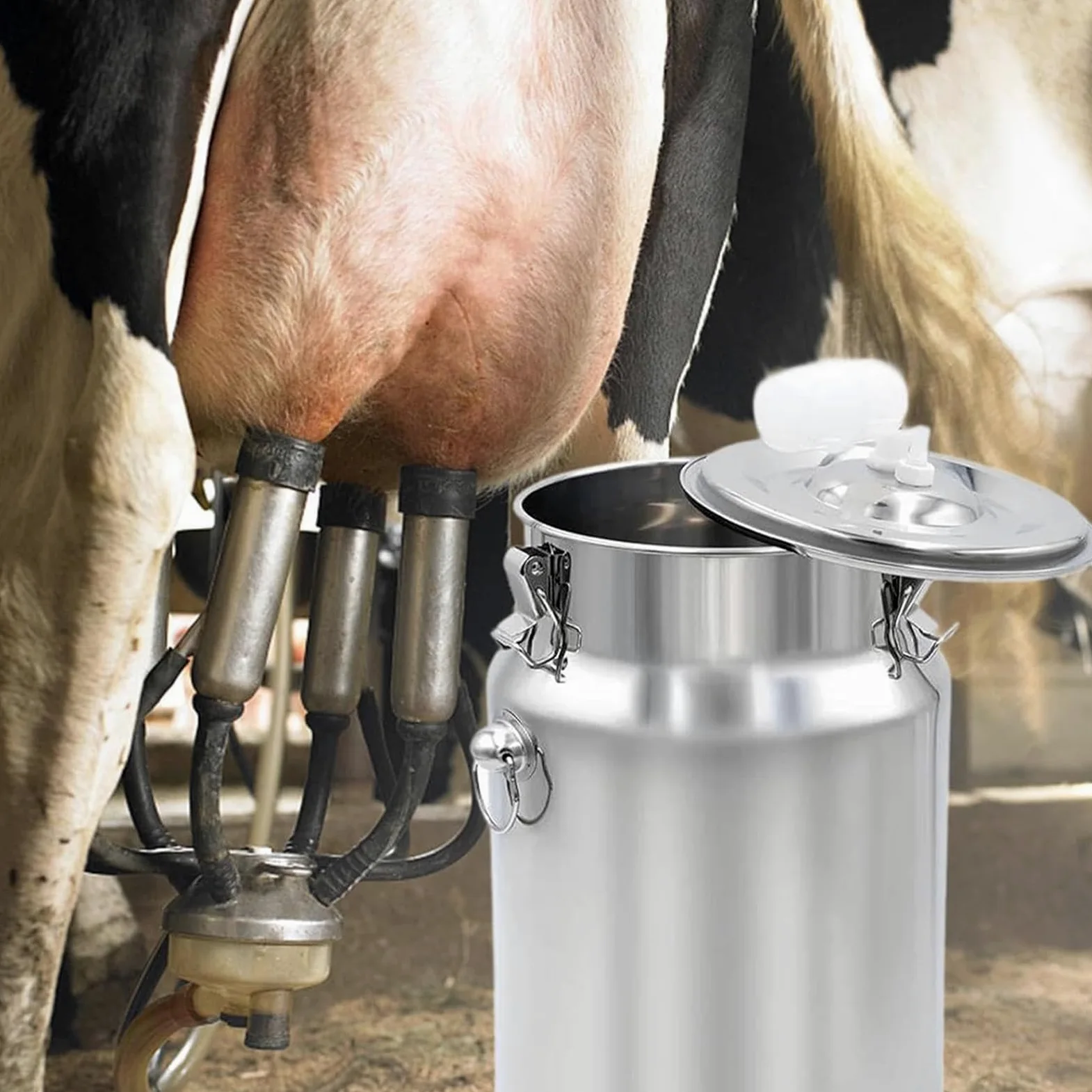 Cubo profesional para ordeñadora de 10 L, diseño de acero inoxidable para ganado, ovejas y cabras, accesorios para ordeñadora de vacas