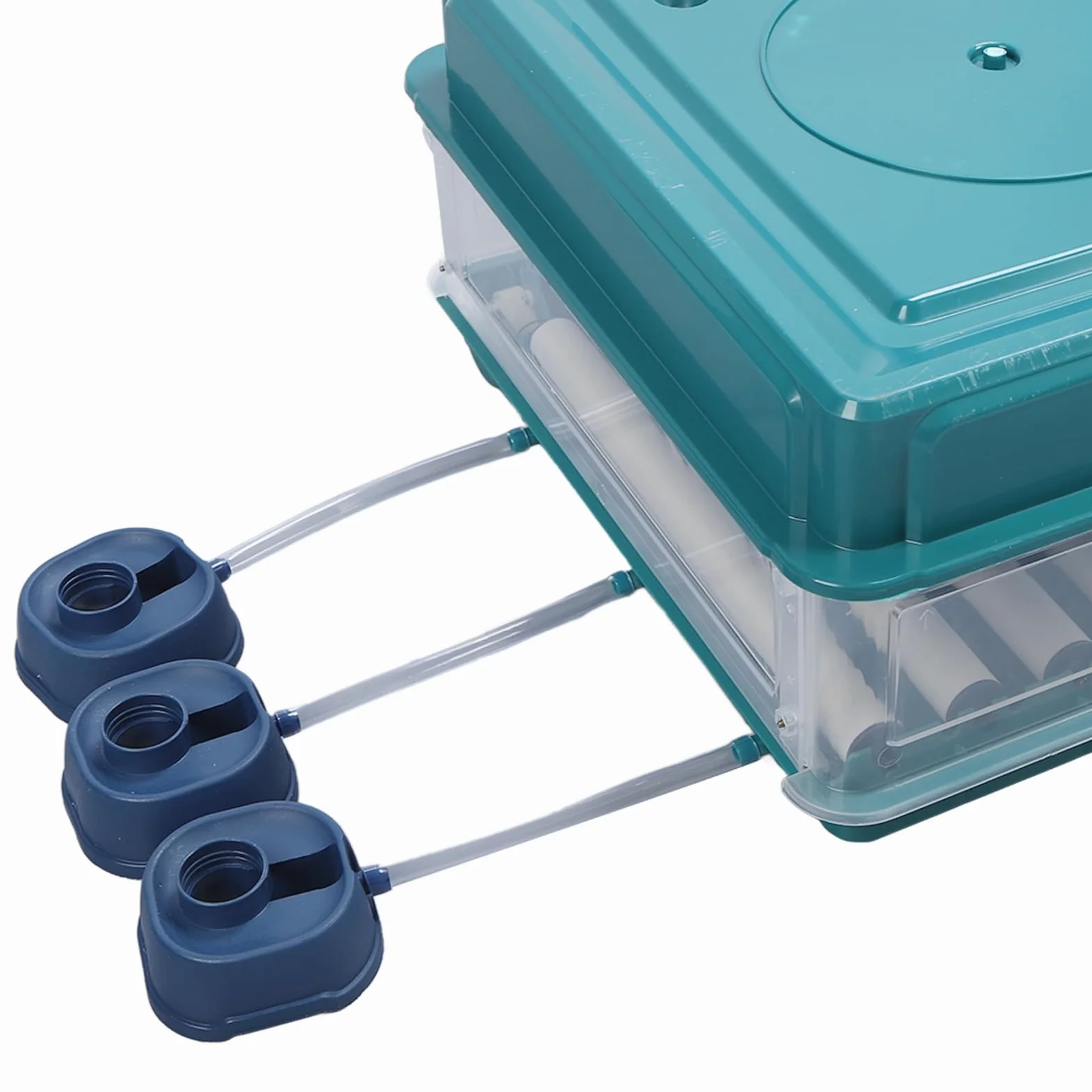 Controlador de Incubadora de Huevos, Controlador de Temperatura de Incubadora de Fácil Observación, Luz LED con Giro Automático para Laboratorios (Enchufe europeo 220V 38 huevos)