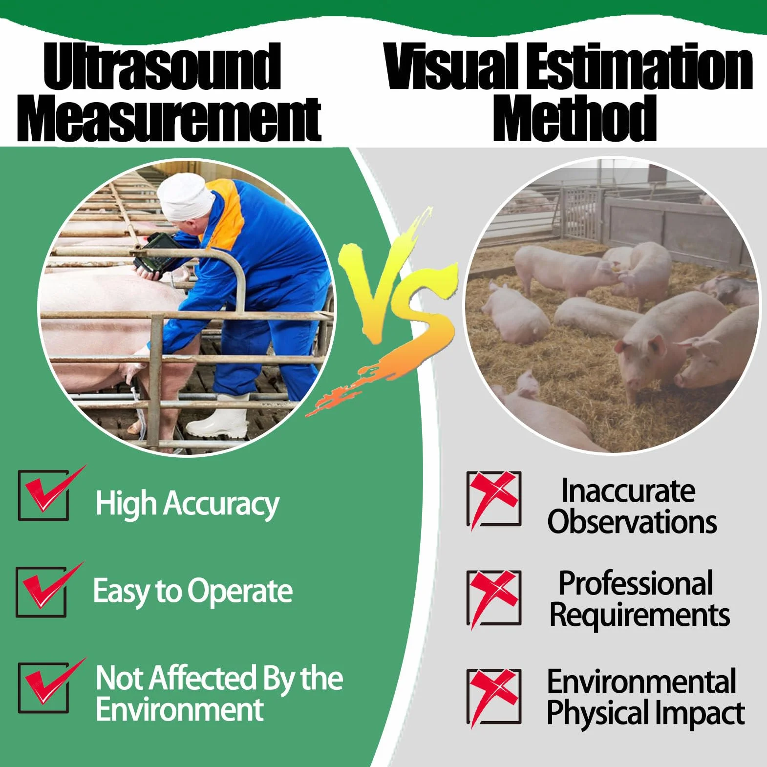 EcóGrafo Veterinario, EcóGrafo Veterinario PortáTil, con Sonda De 3,5/6,5 MHz para Cerdos, Ovejas, Cabras Y Perros C