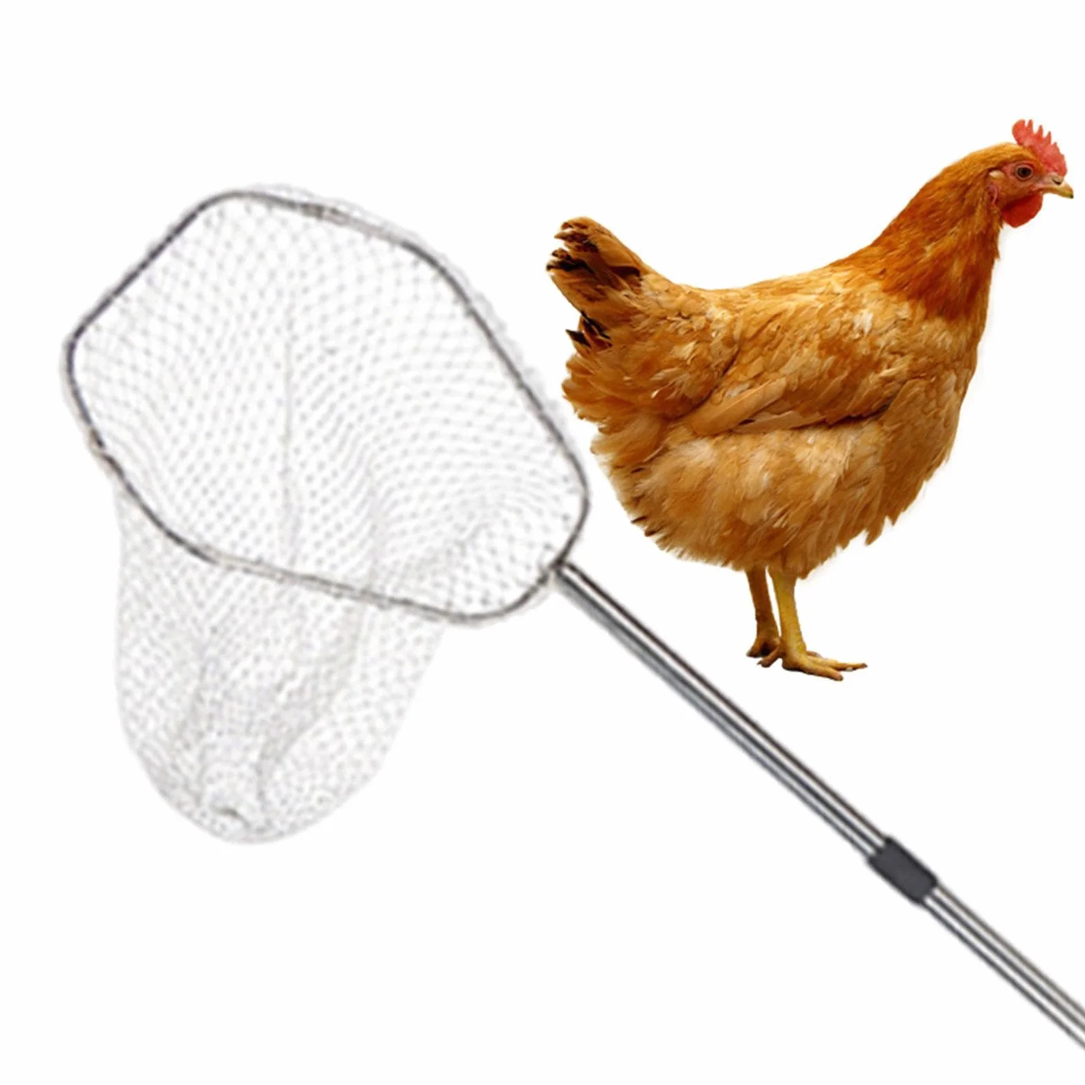 perfk Red para Aves de Corral, atrapa Pollos, Herramienta para atrapar Animales de Granja, Profesional, versátil, práctica, para gallineros, Gatos, con Red