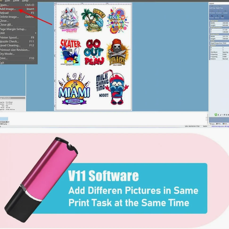 COLORSUN DTF Rip Software Versión V11.2 Clave de Controlador USB Software de impresión Independiente para DTF Compatible con R1390 L1800 R2400 XP-15000