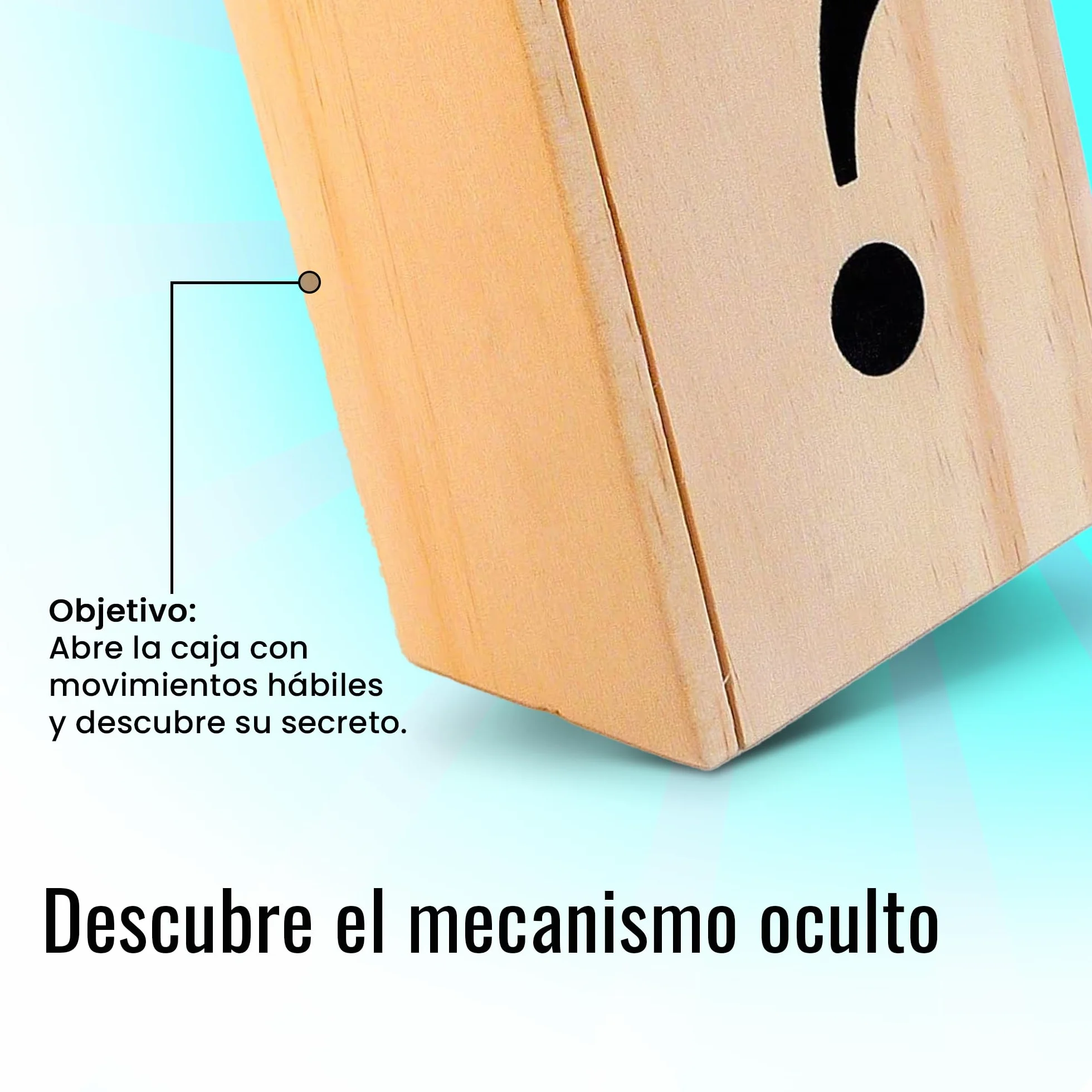Logica Juegos Caja Secreta Rompecabezas de Madera Dificultad 5/6 Colección Leonardo da Vinci